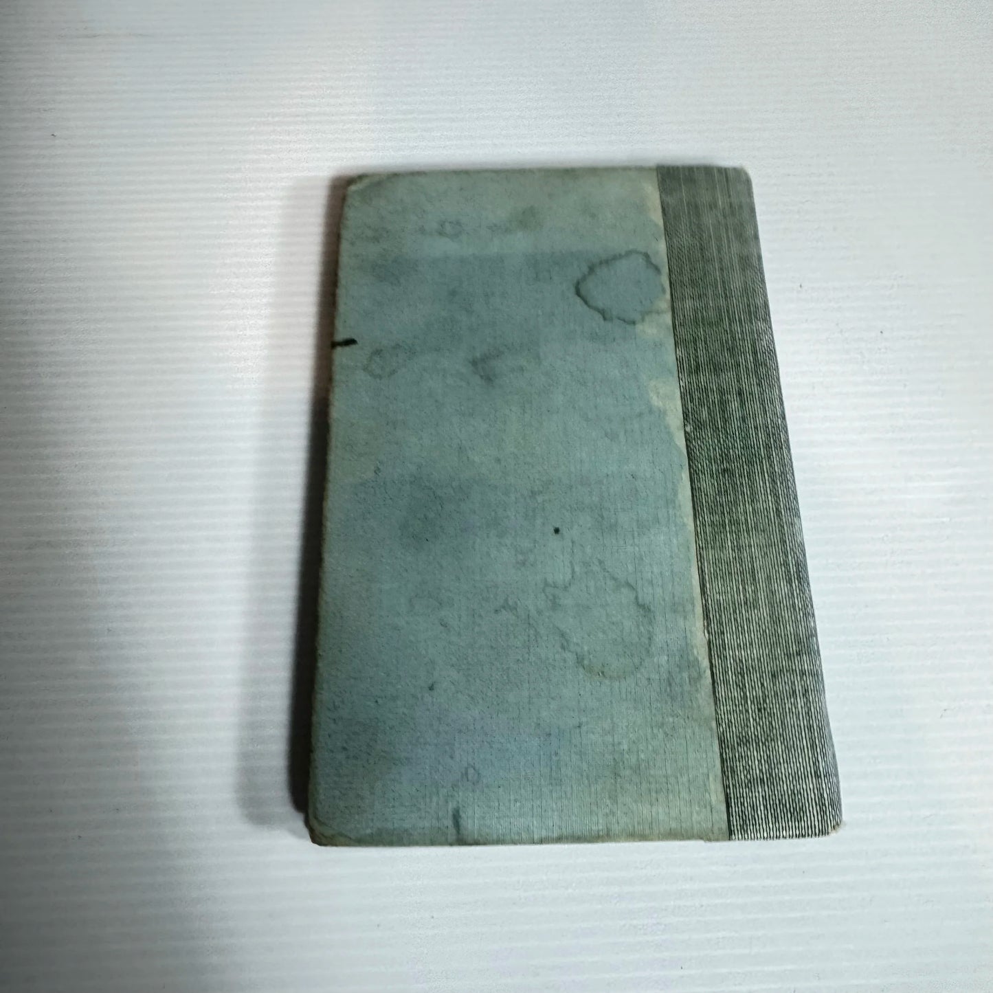 Travels With A Donkey In The Cevennes - Robert Louis Stevenson (Antique 1925)