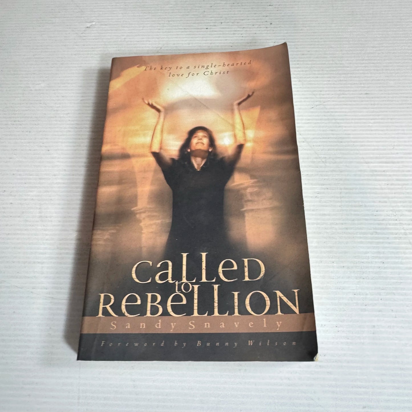 Called to Rebellion : The Key to a Single-hearted love for Christ - Sandy Snavely
