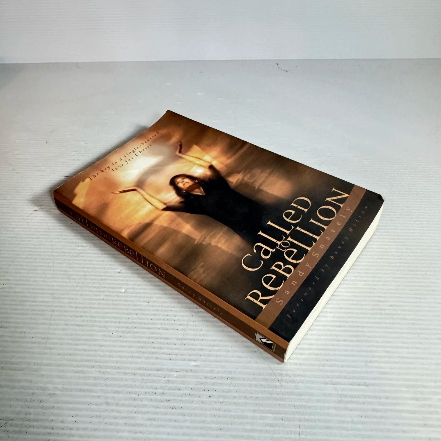 Called to Rebellion : The Key to a Single-hearted love for Christ - Sandy Snavely