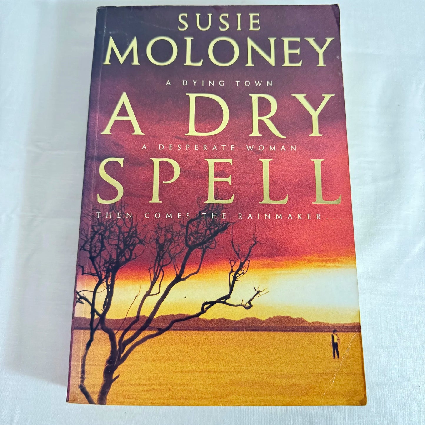A Dry Spell - Susie Moloney