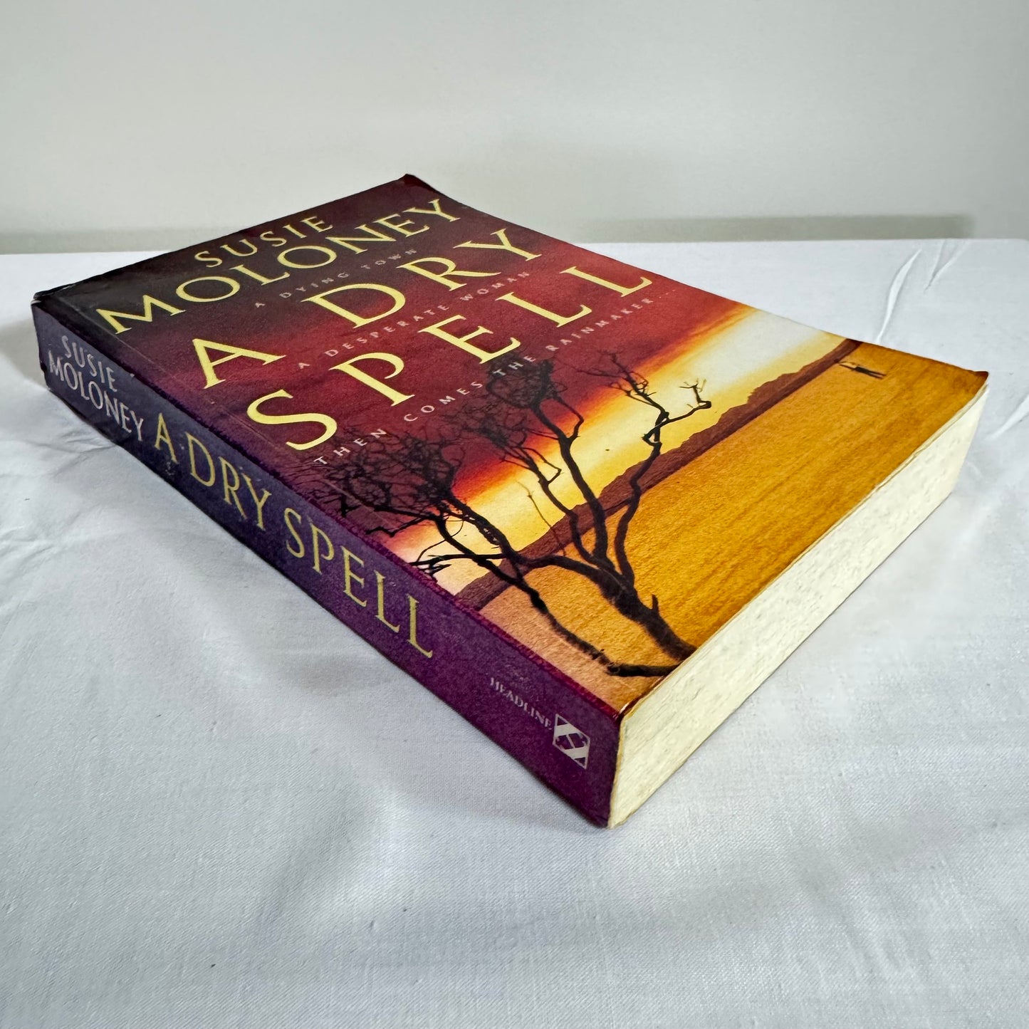 A Dry Spell - Susie Moloney