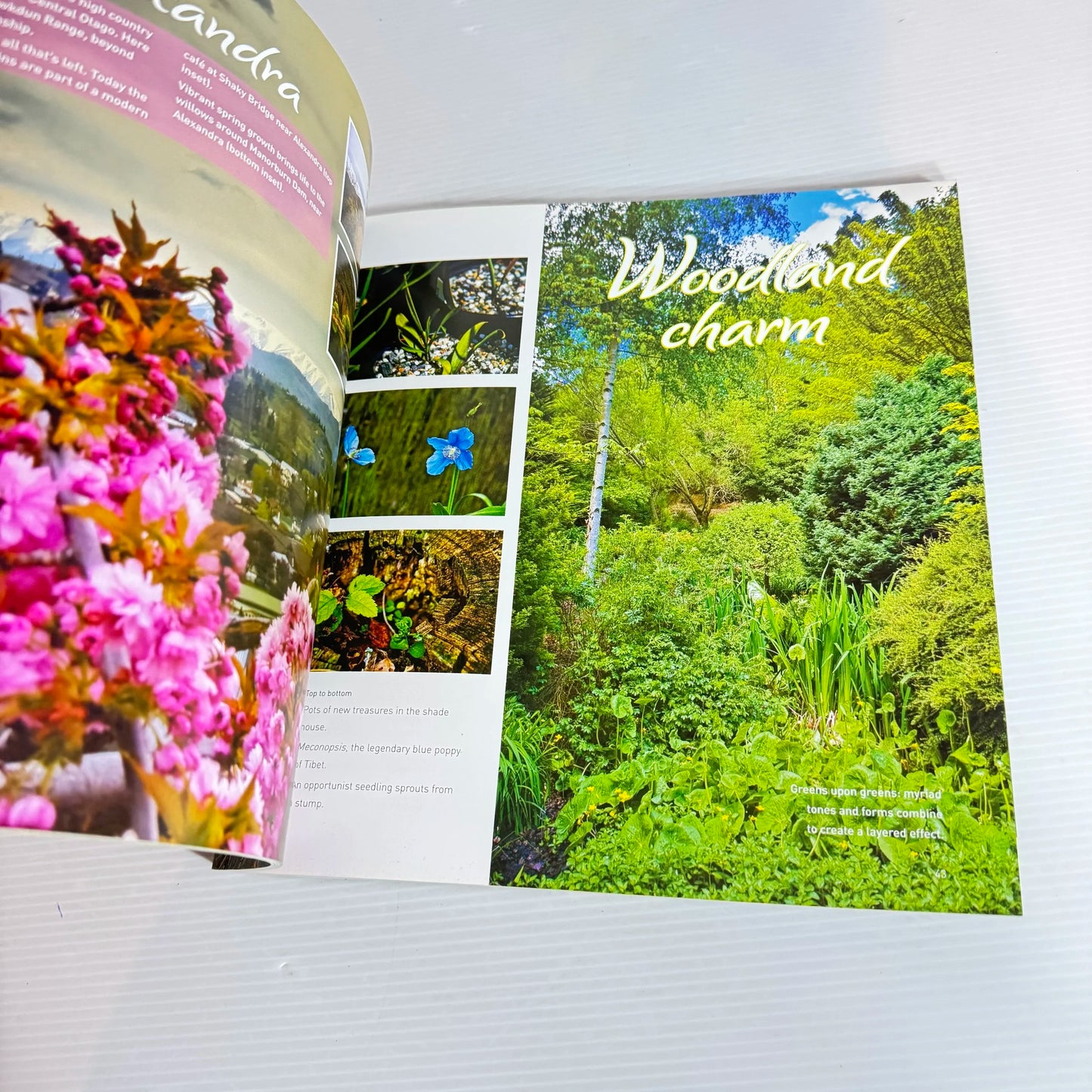 In The Heart of My Garden : An Intimate Look at Central Otago's Gardens - Ian Brodie & Jill Herron