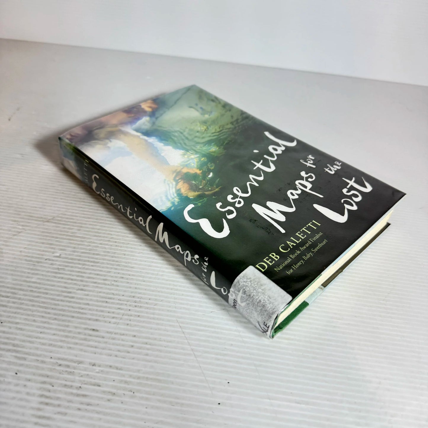 Essential Maps for the Lost - Deb Caletti