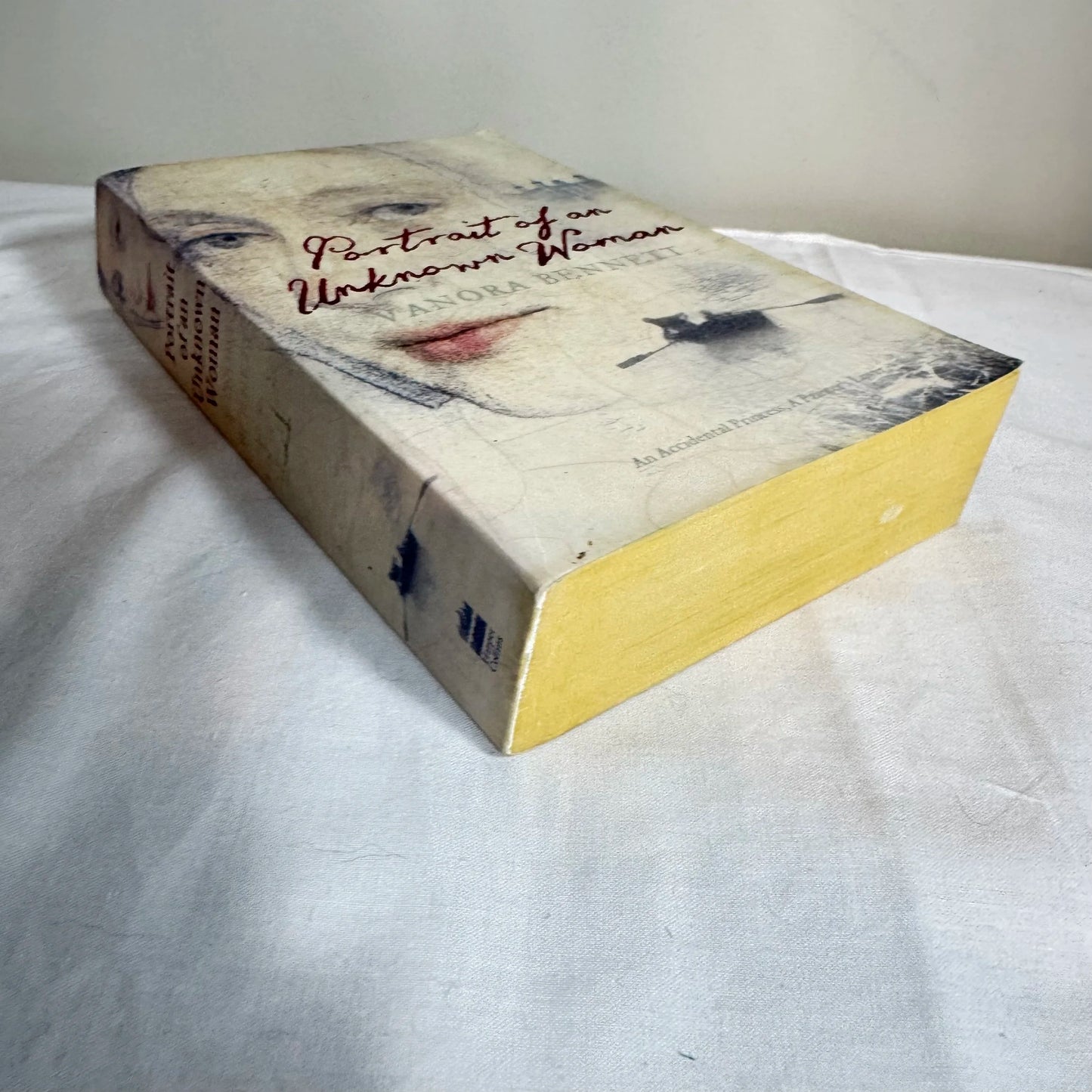 The Portrait of an Unknown Women - Vanora Bennett