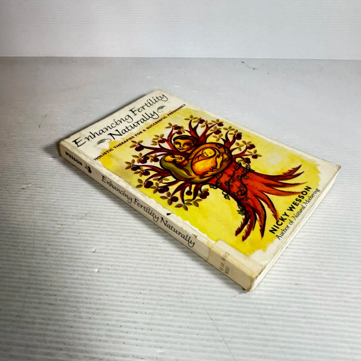 Enhancing Fertility Naturally: Holistic Therapies For A Successful Pregnancy - Nicky Wesson