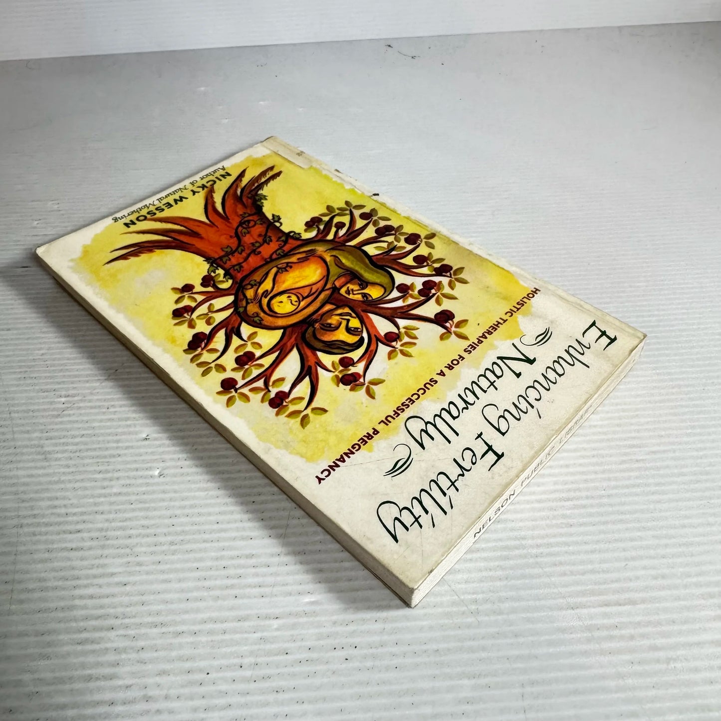 Enhancing Fertility Naturally: Holistic Therapies For A Successful Pregnancy - Nicky Wesson