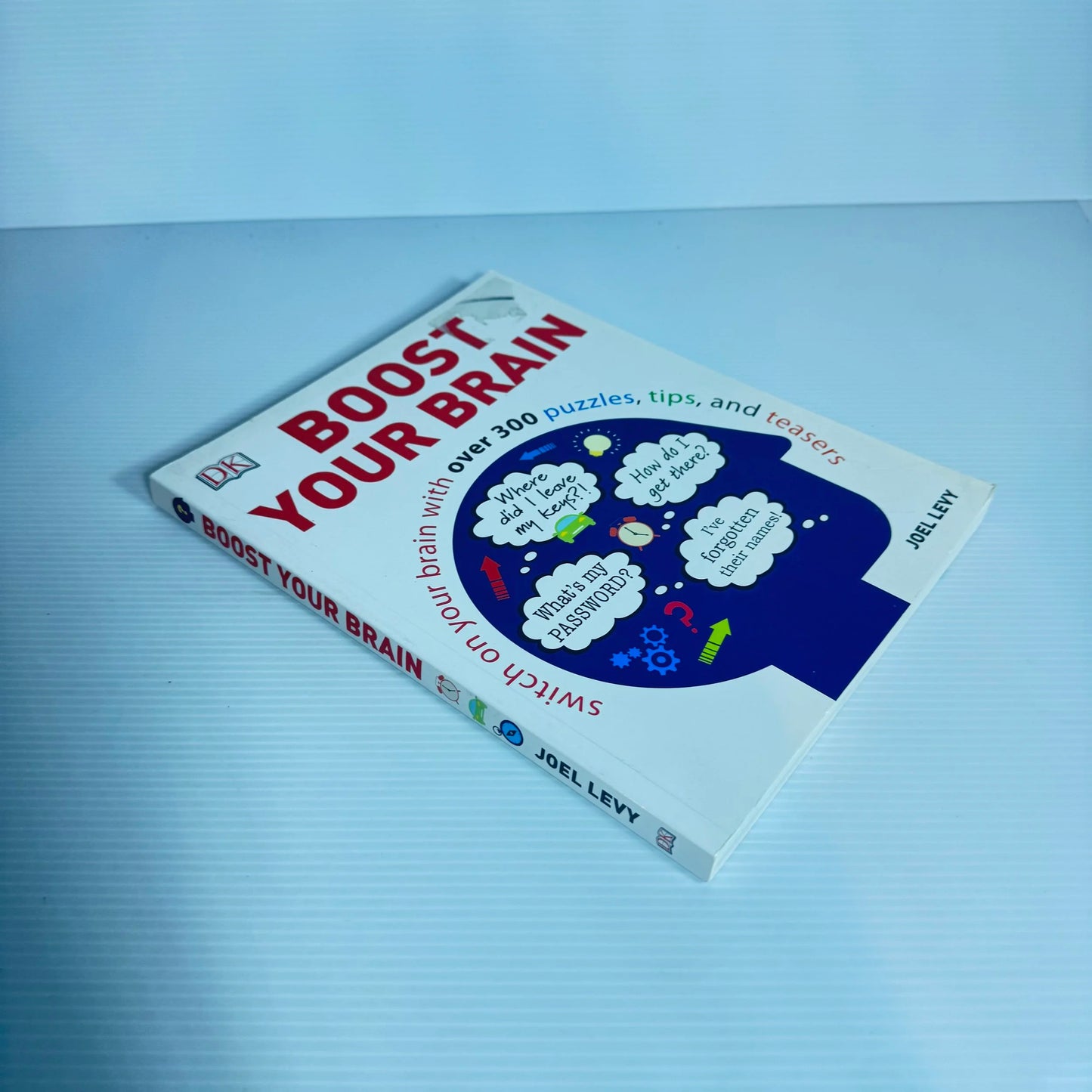 Boost Your Brain : Over 300 Puzzles, Tips, and Teasers - Joel Levy