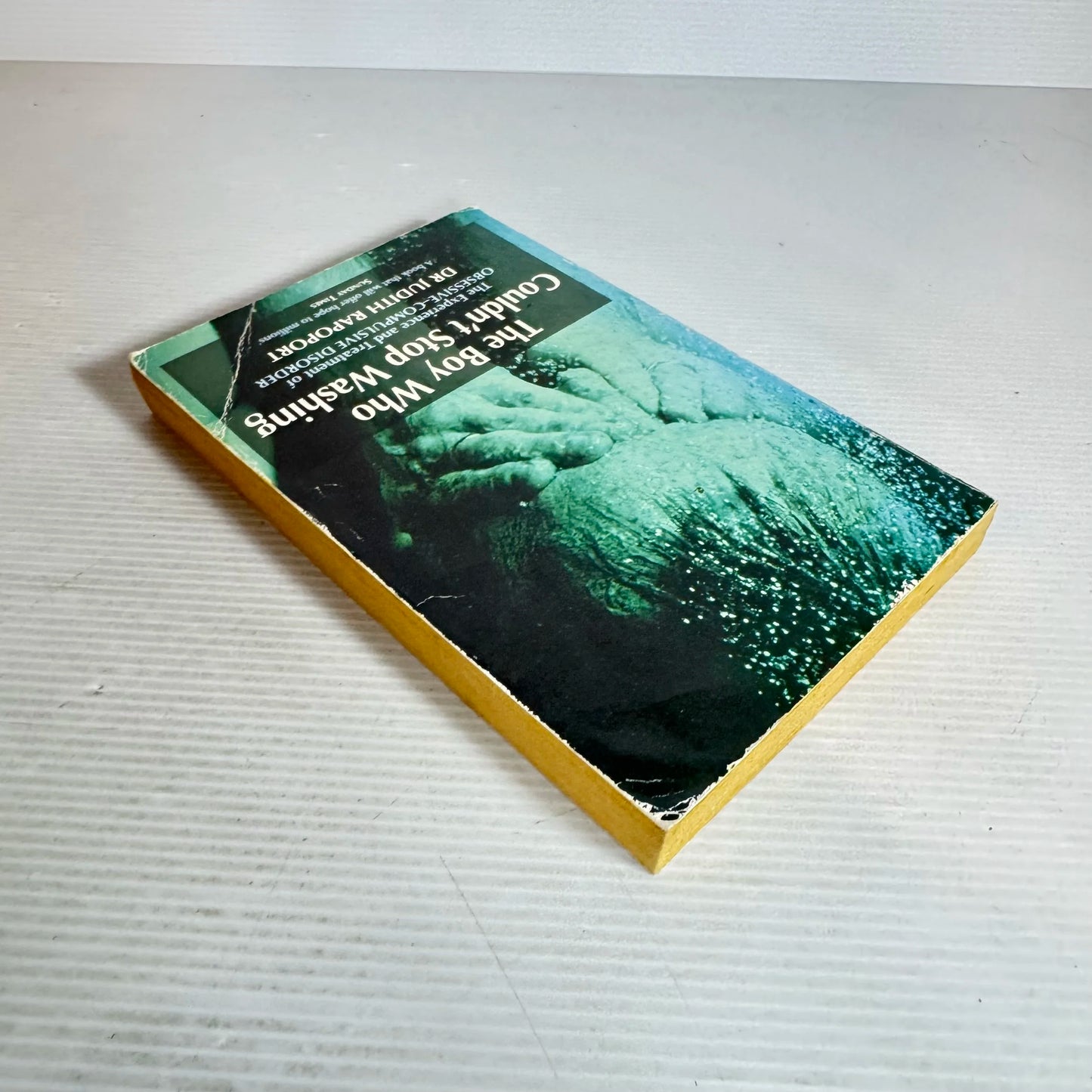 The Boy Who Couldn't Stop Washing : The Experience and Treatment of Obsessive-Compulsive Disorder - Dr Judith Rapoport