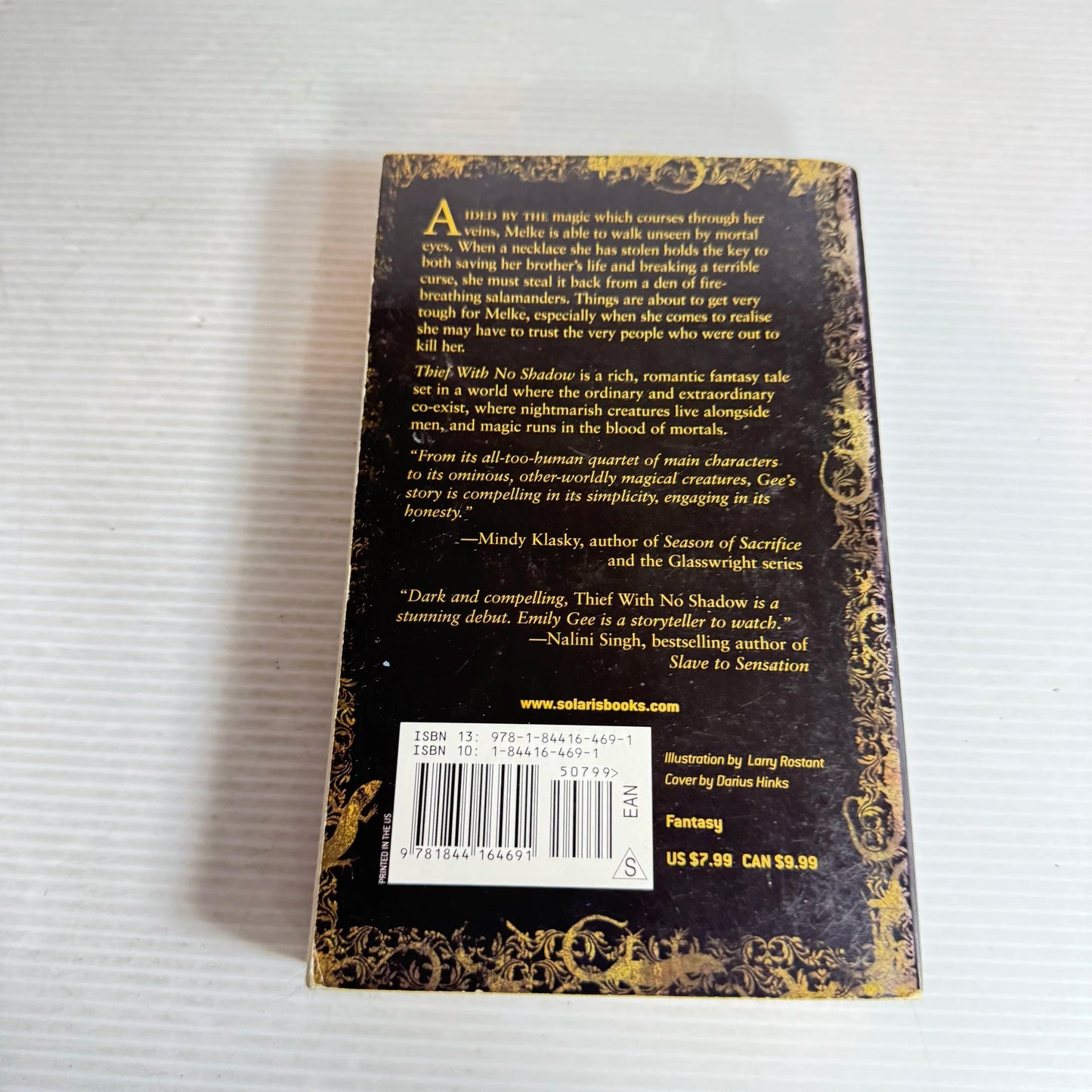 Thief With No Shadow - Emily Gee