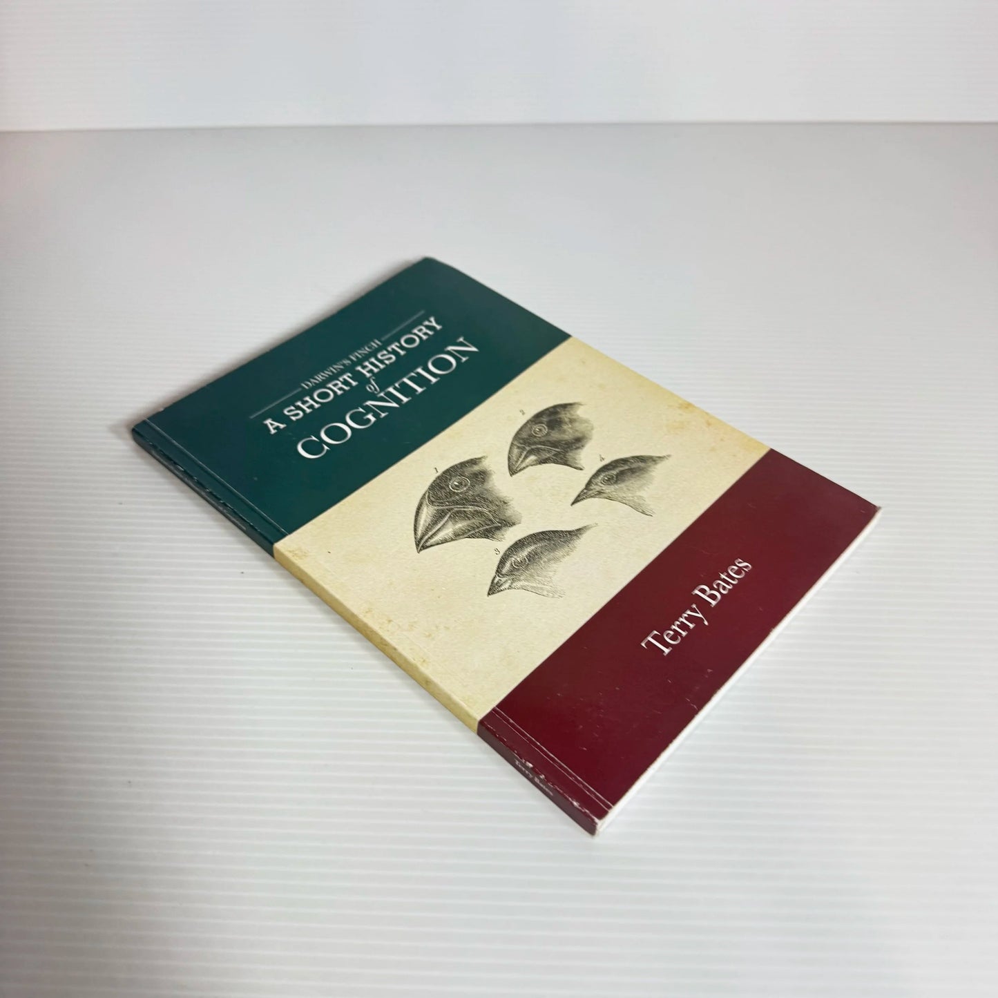 Darwin's Finch : A Short History Of Cognition - Terry Bates