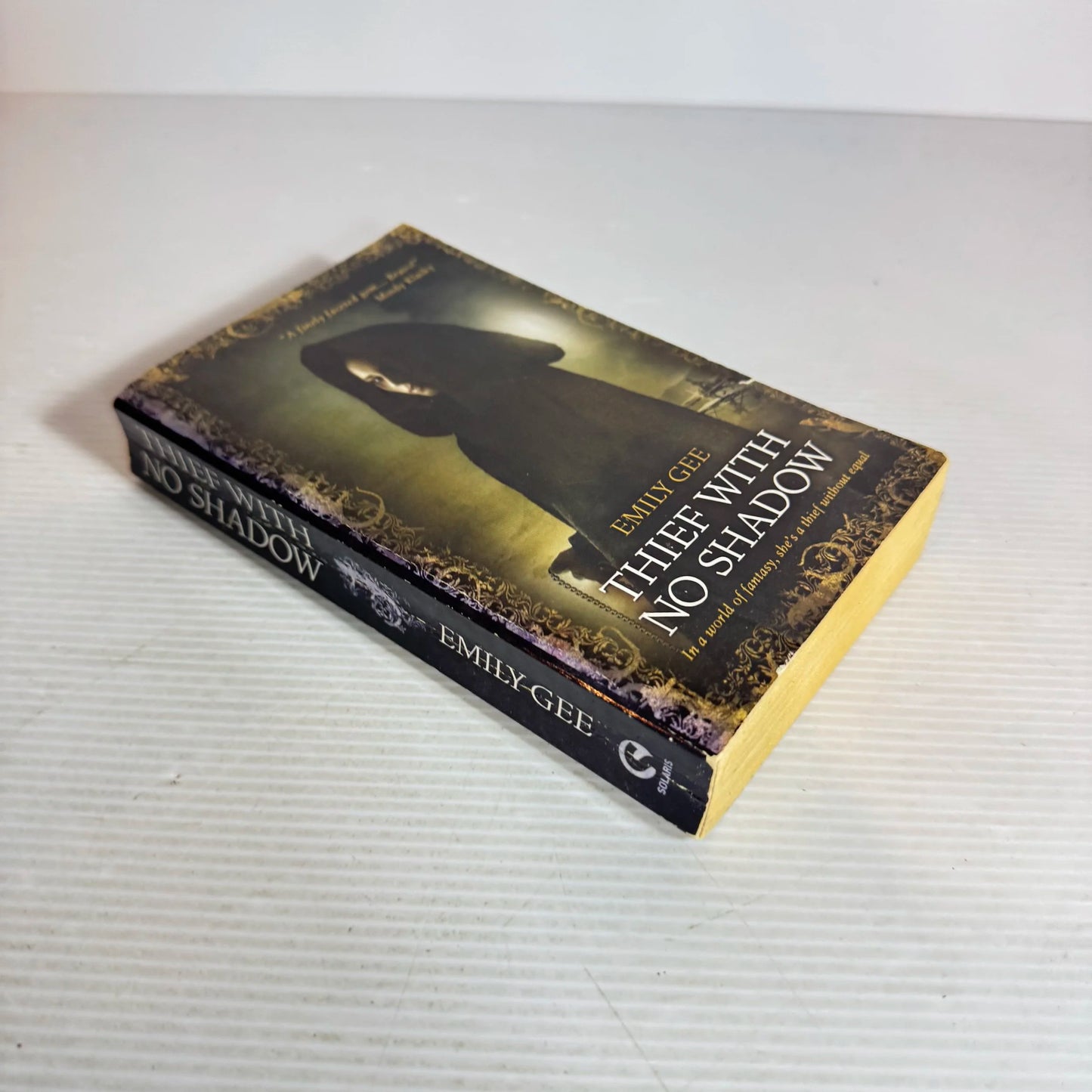 Thief With No Shadow - Emily Gee