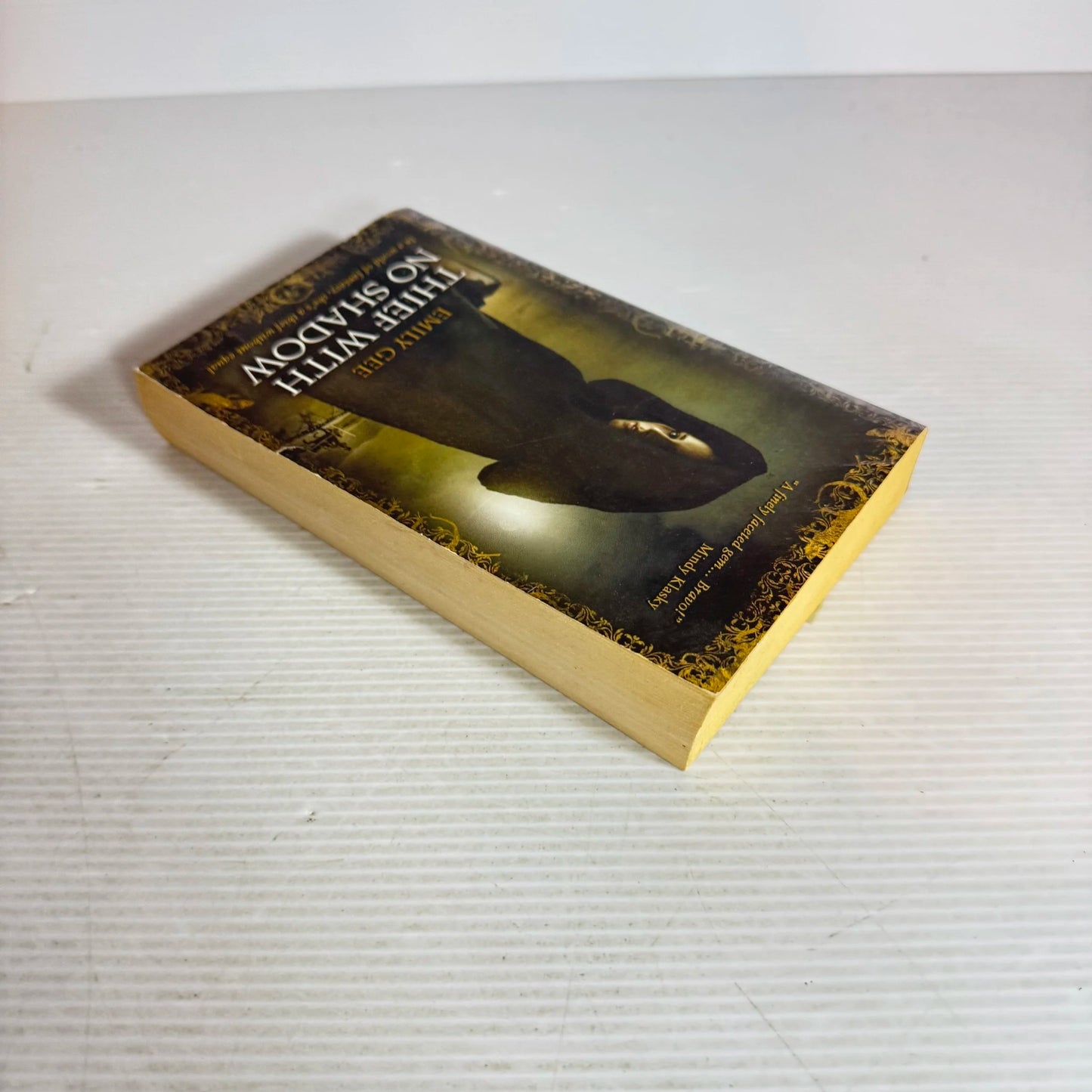 Thief With No Shadow - Emily Gee