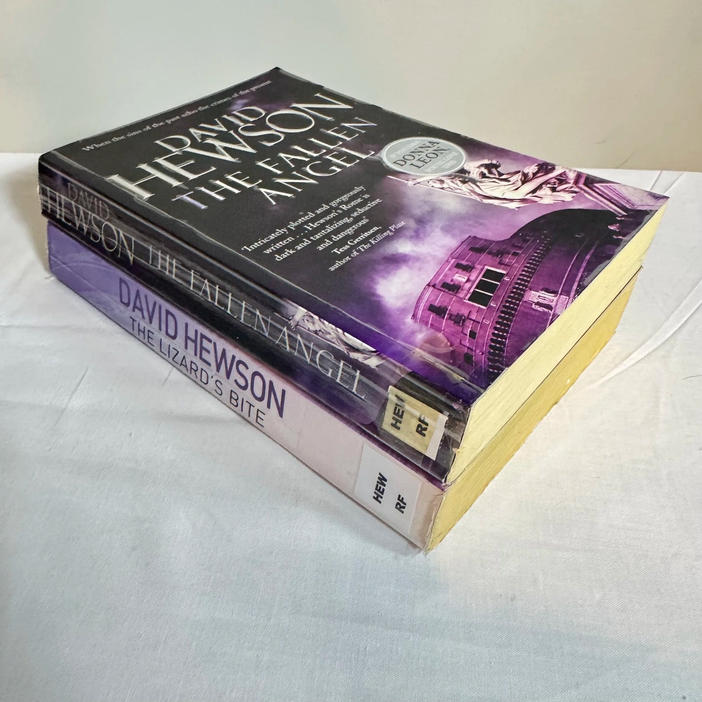 David Hewson - 2 x Book Bundle The Fallen Angel & The Lizard's Bite
