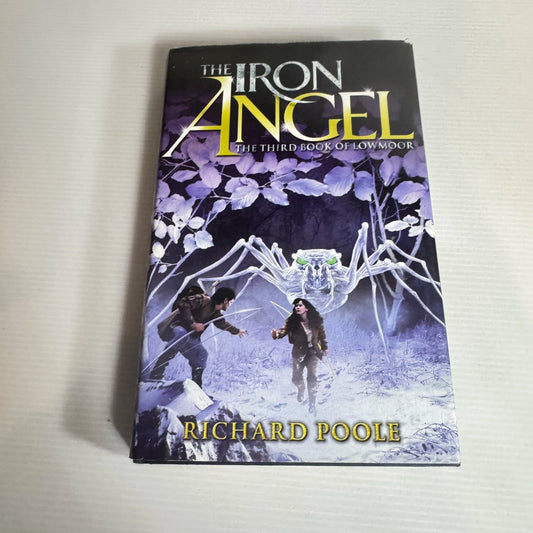 The Iron Angel : The Third Book of Lowmoor - Richard Poole