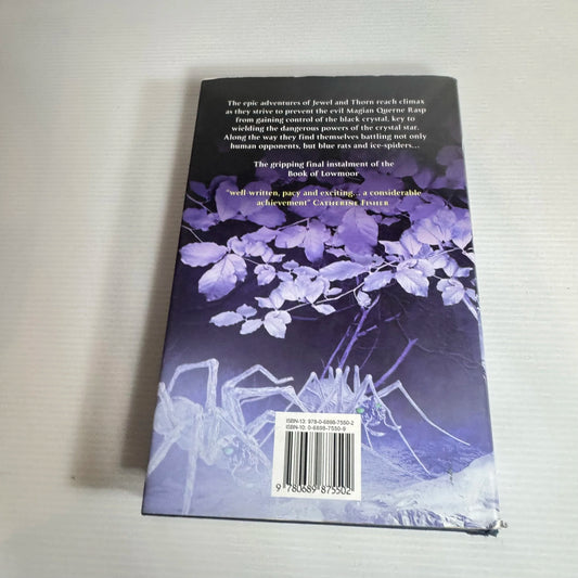 The Iron Angel : The Third Book of Lowmoor - Richard Poole