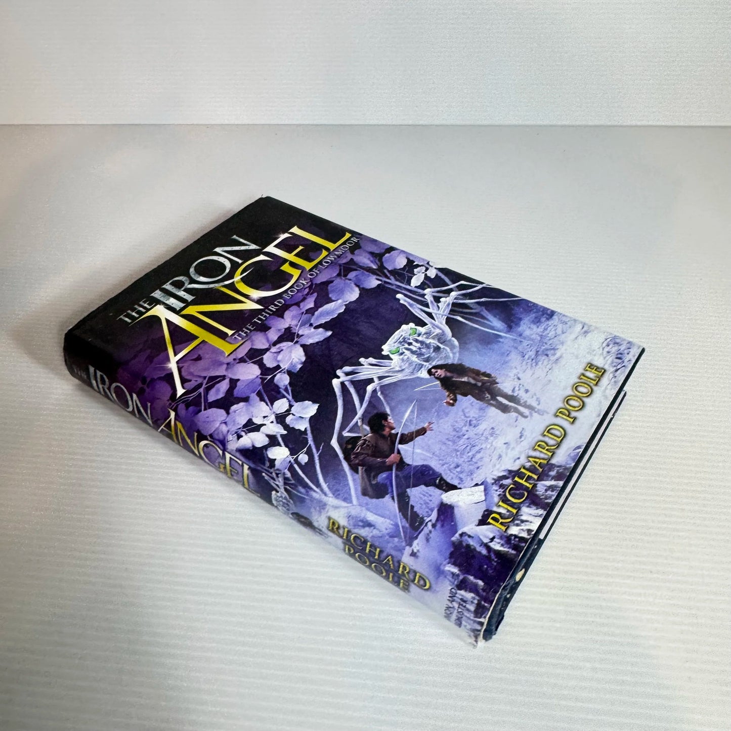 The Iron Angel : The Third Book of Lowmoor - Richard Poole