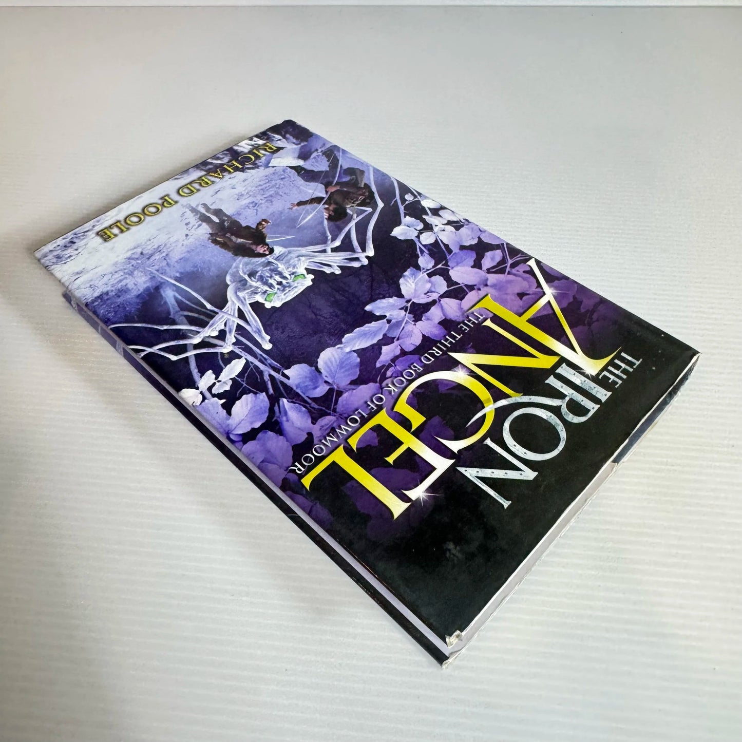 The Iron Angel : The Third Book of Lowmoor - Richard Poole