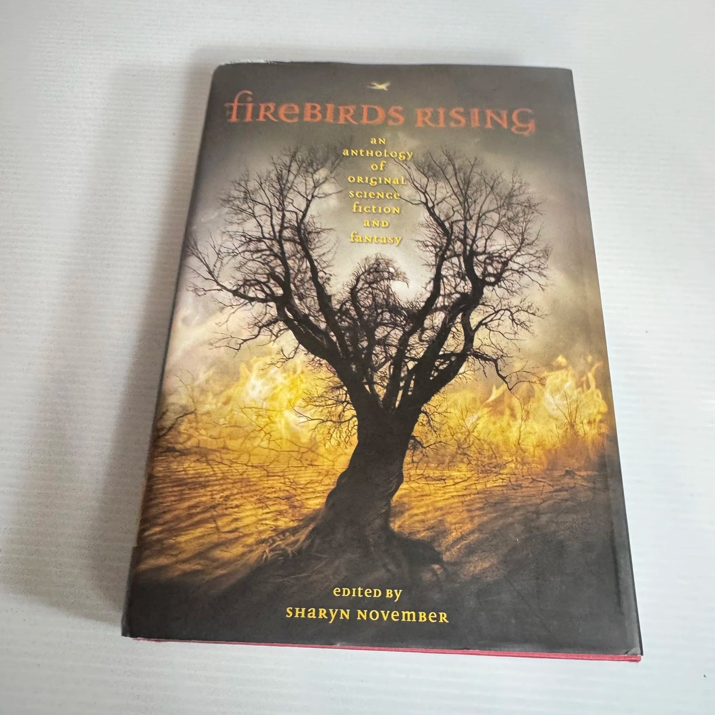 Firebirds Rising : An Anthology of Original Science Fiction and Fantasy - Edited by Sharyn November