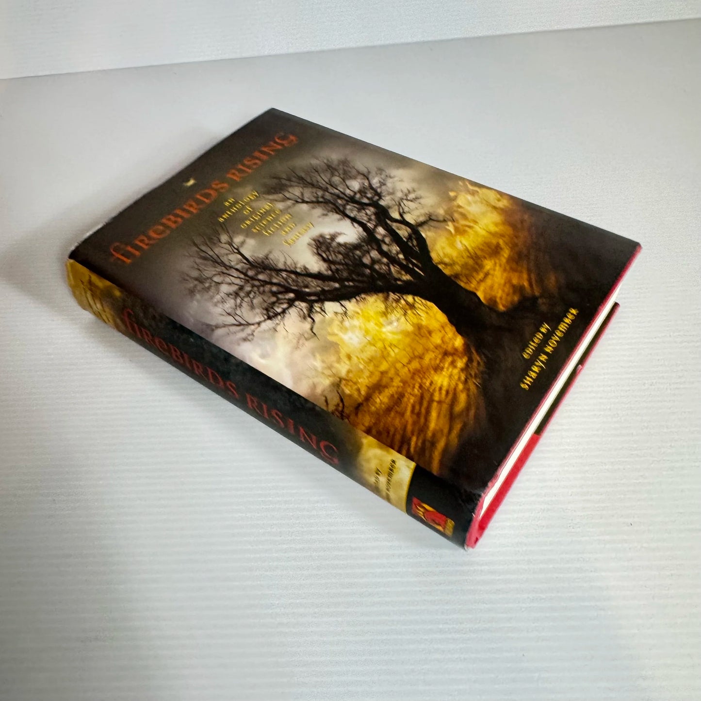 Firebirds Rising : An Anthology of Original Science Fiction and Fantasy - Edited by Sharyn November