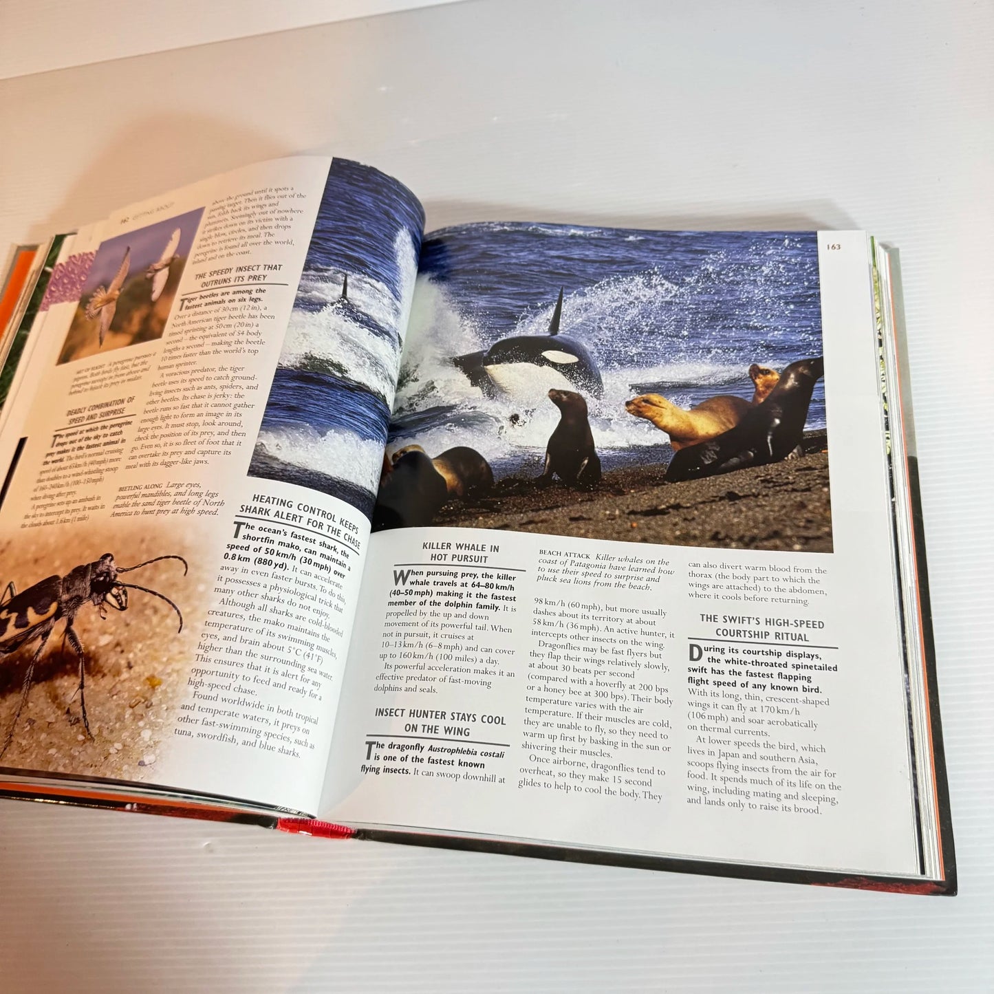 1000 Wonders Of Nature - Reader's Digest