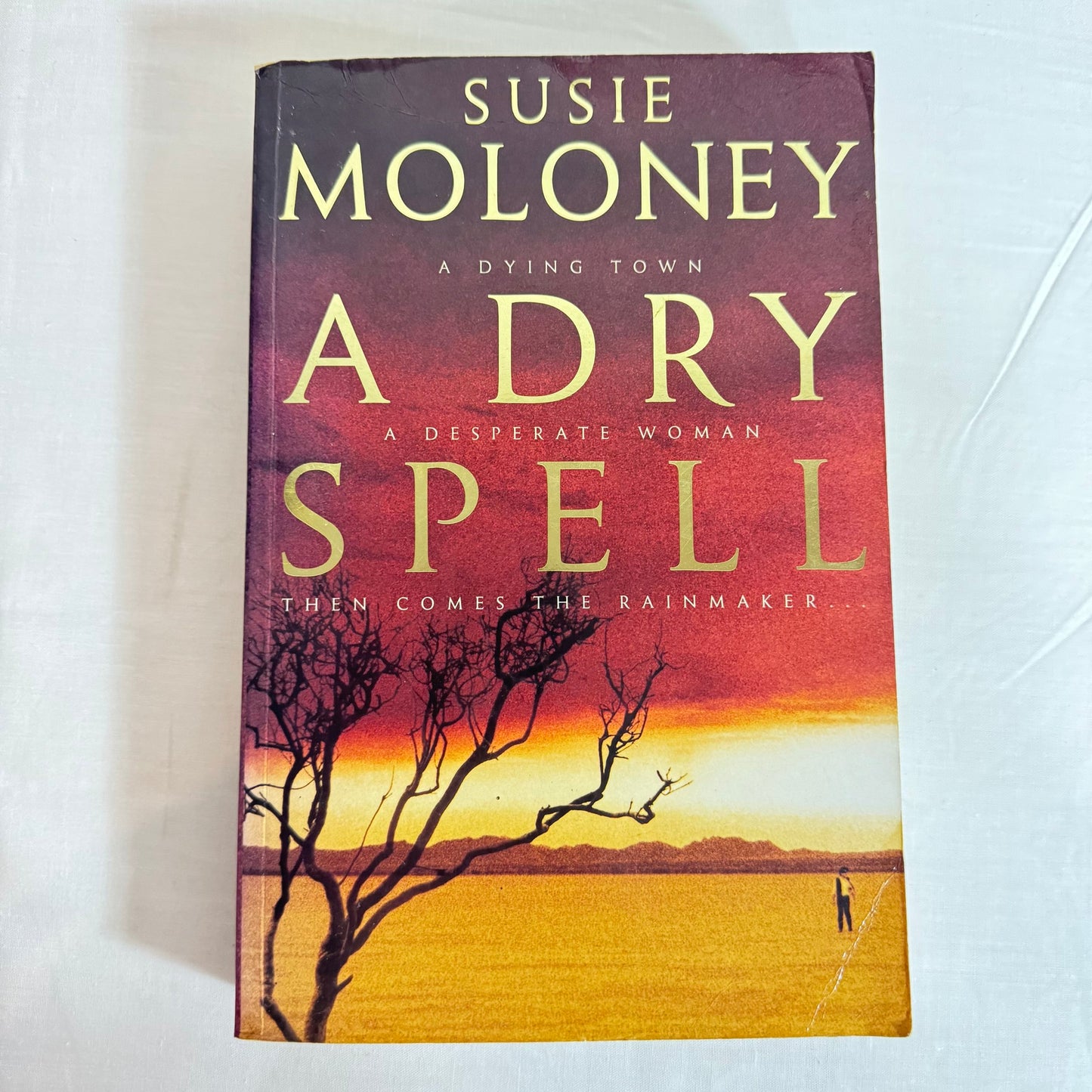 A Dry Spell - Susie Moloney