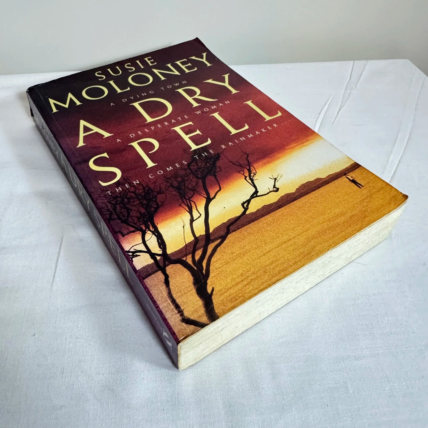 A Dry Spell - Susie Moloney