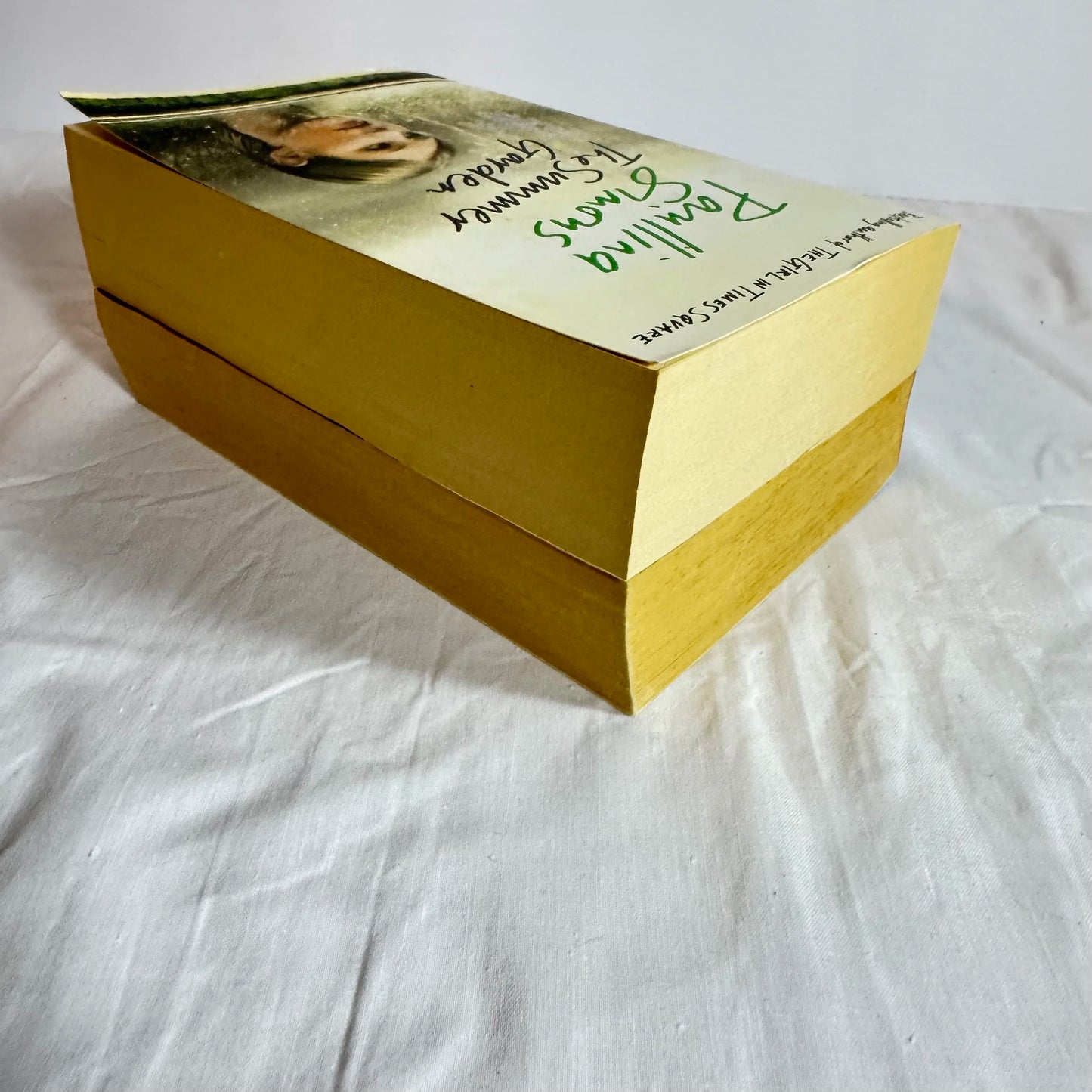 Paullina Simons Book Bundle x 2 The Summer Garden & Tully