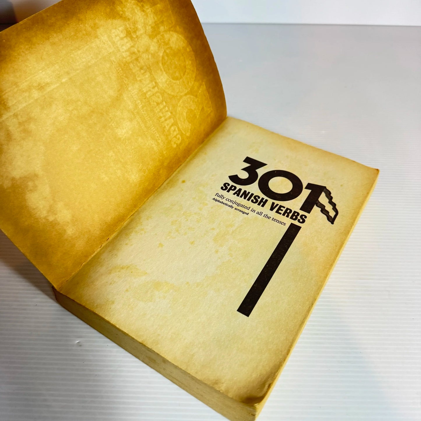 301 Spanish Verbs: Fully Conjugated - Christopher Kendris