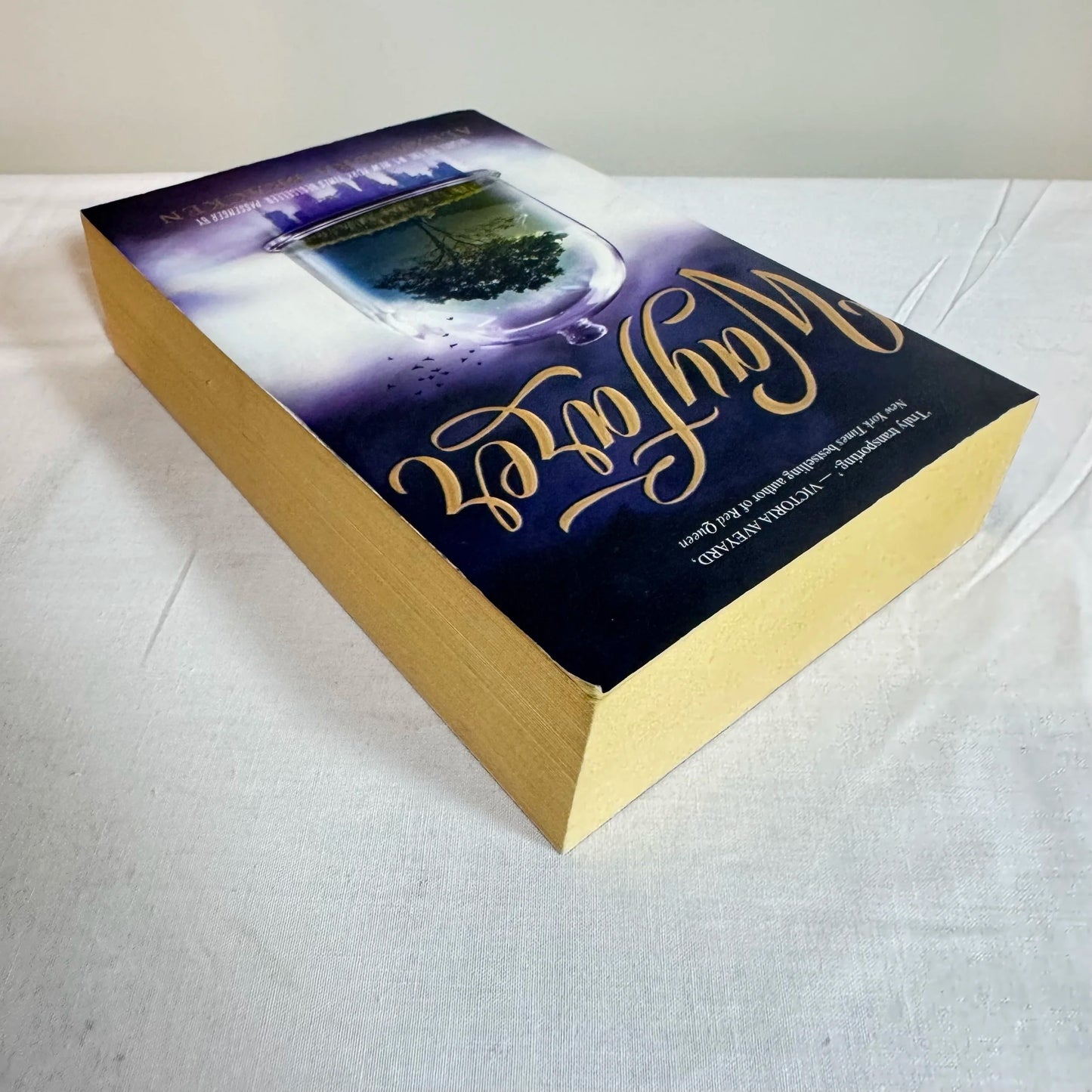 Way Forever - Alexandra Bracken