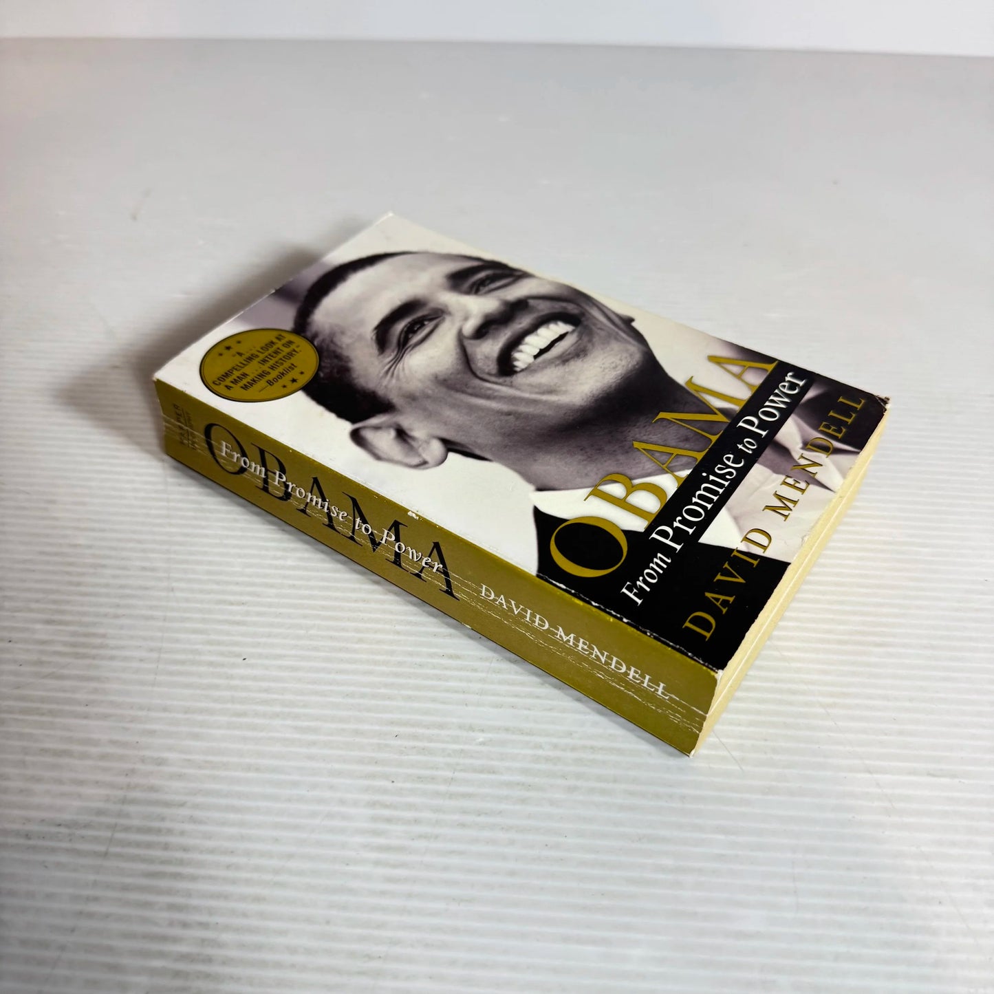 Obama : From Promise to Power - David Mendell