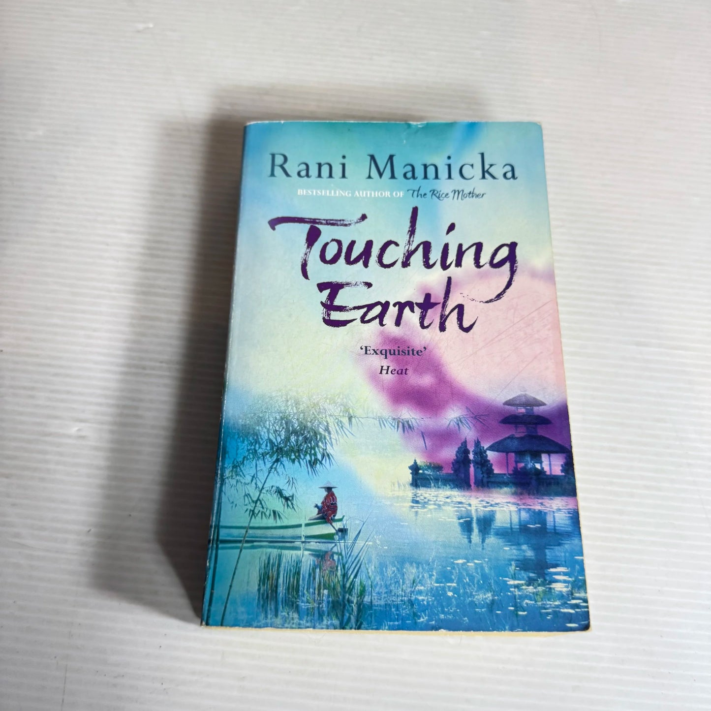 Touching Earth - Rani Manicka