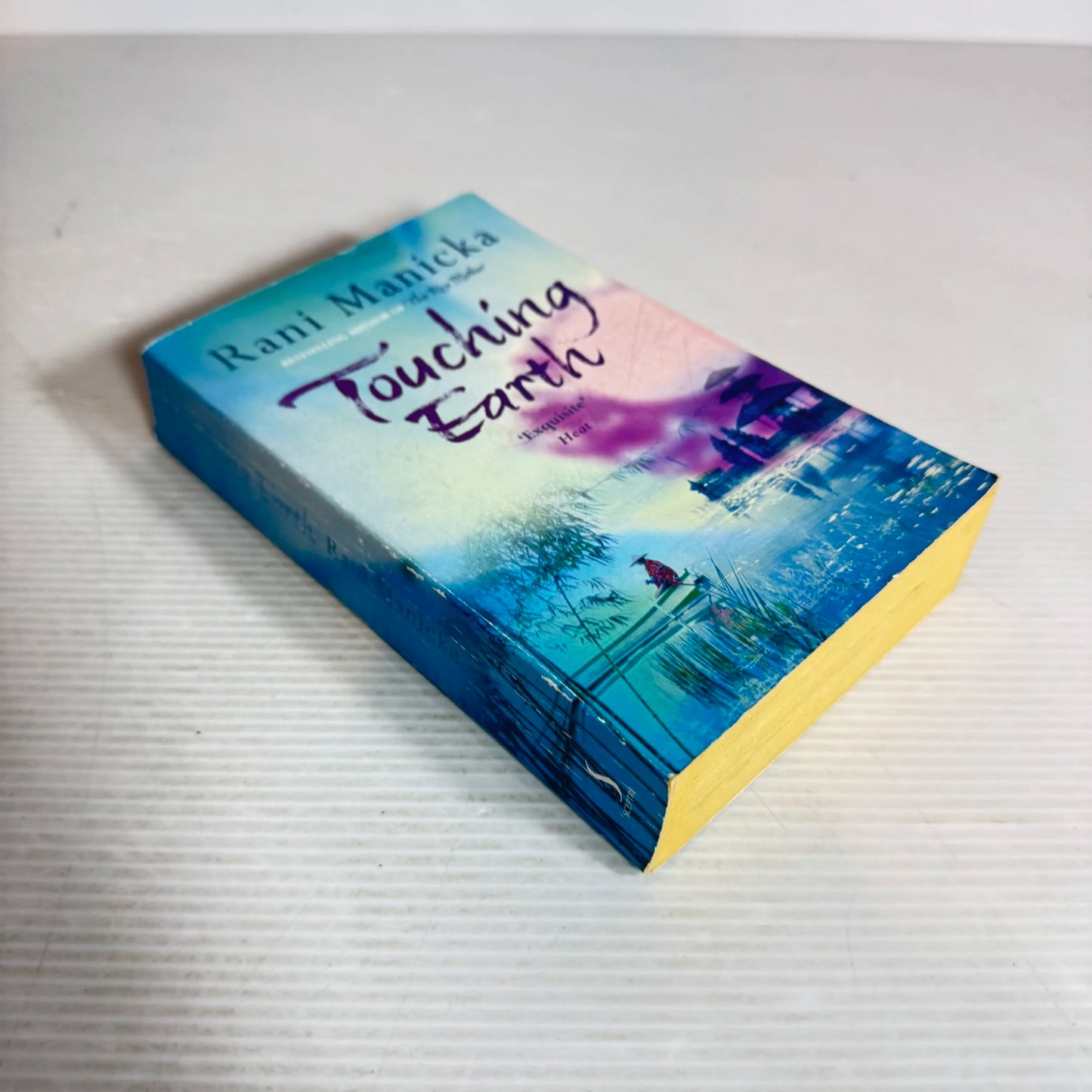 Touching Earth - Rani Manicka