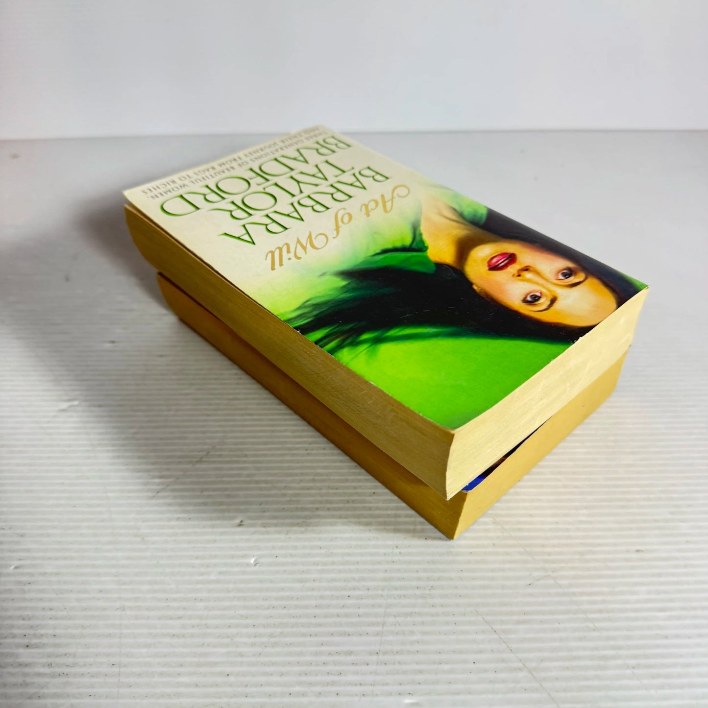 Barbara Taylor Bradford Book Bundle x2 (422) Act of Will & Where You Belong