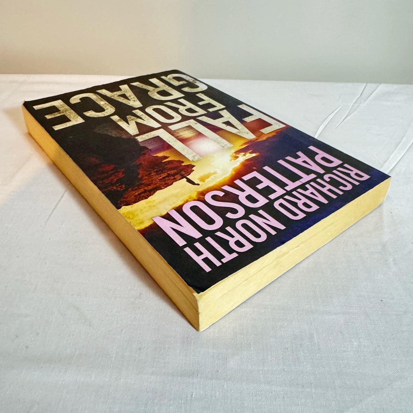 Fall From Grace - Richard North Patterson
