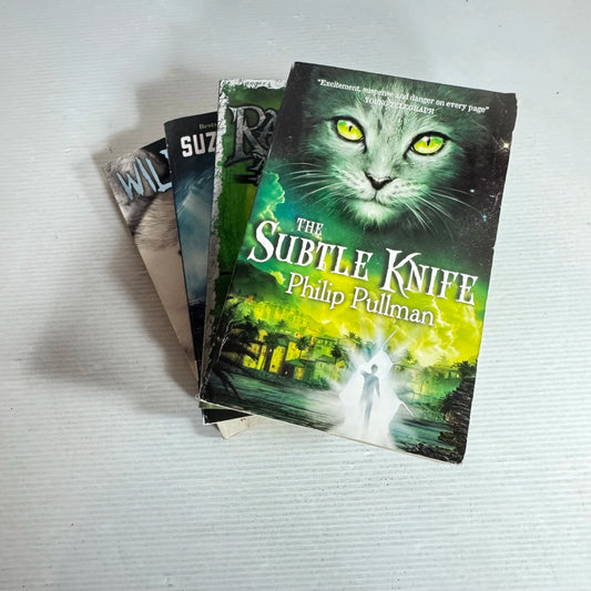 Preteen Adventure Chapter Book Bundle x 4 Books (440)