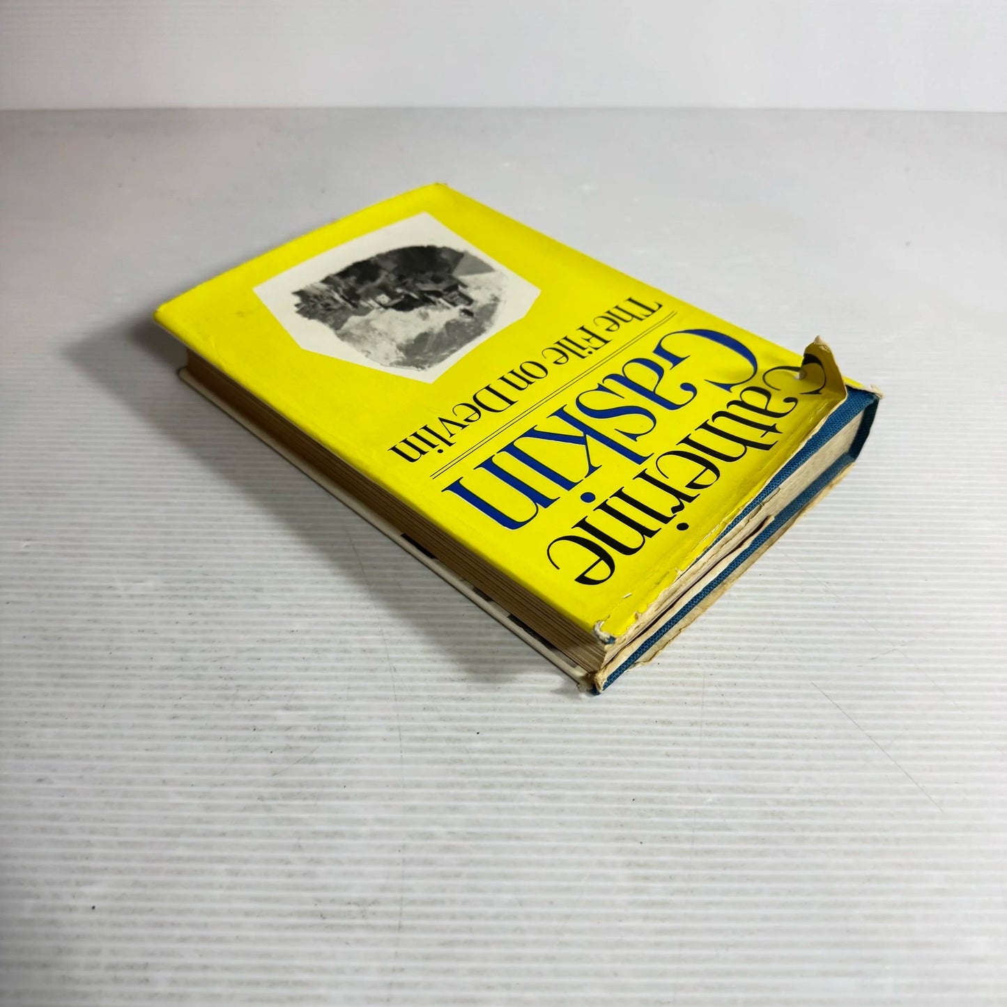 The File on Devlin - Catherine Gaskin (Vintage 1965)