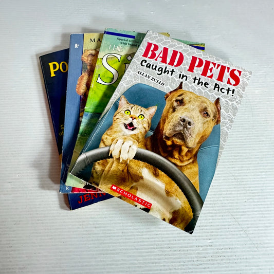 Children's Chapter Book Bundle x 4 Books Mixed Theme (207)