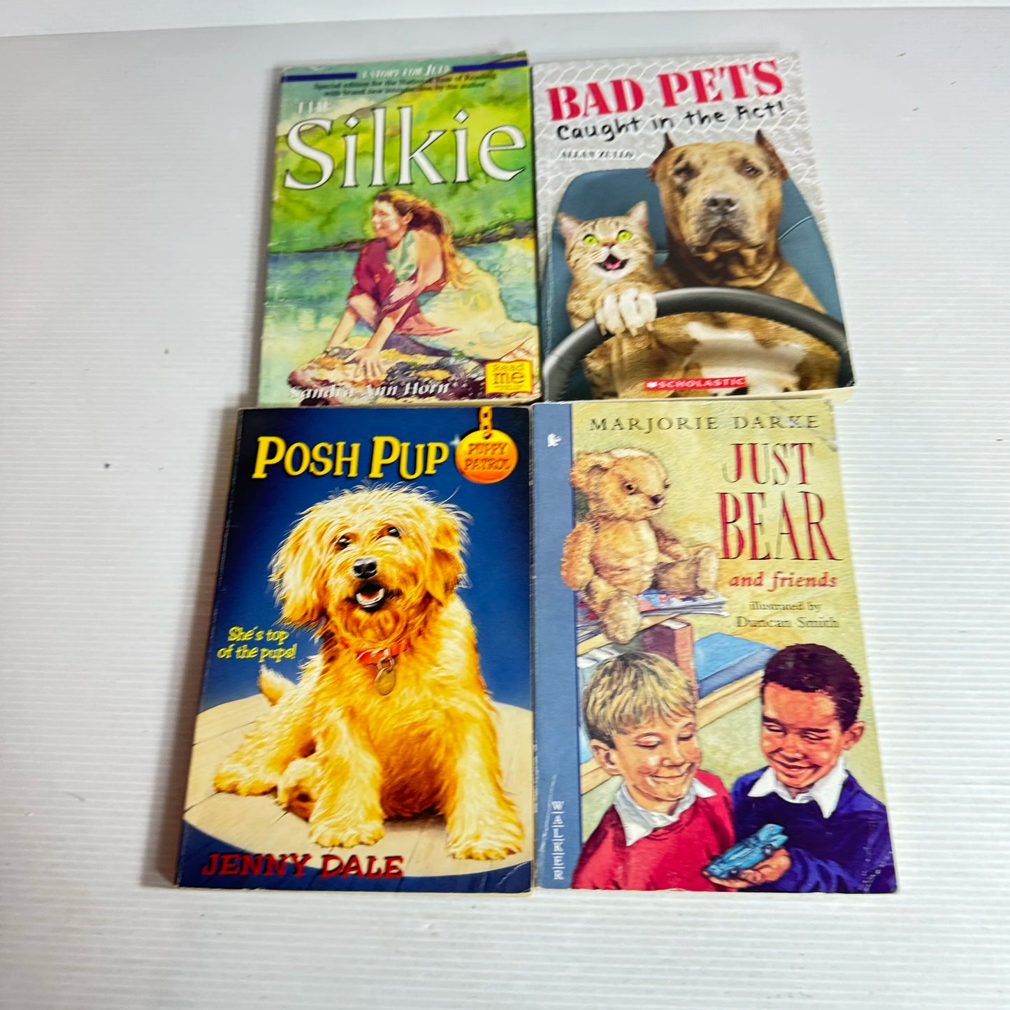 Children's Chapter Book Bundle x 4 Books Mixed Theme (207)
