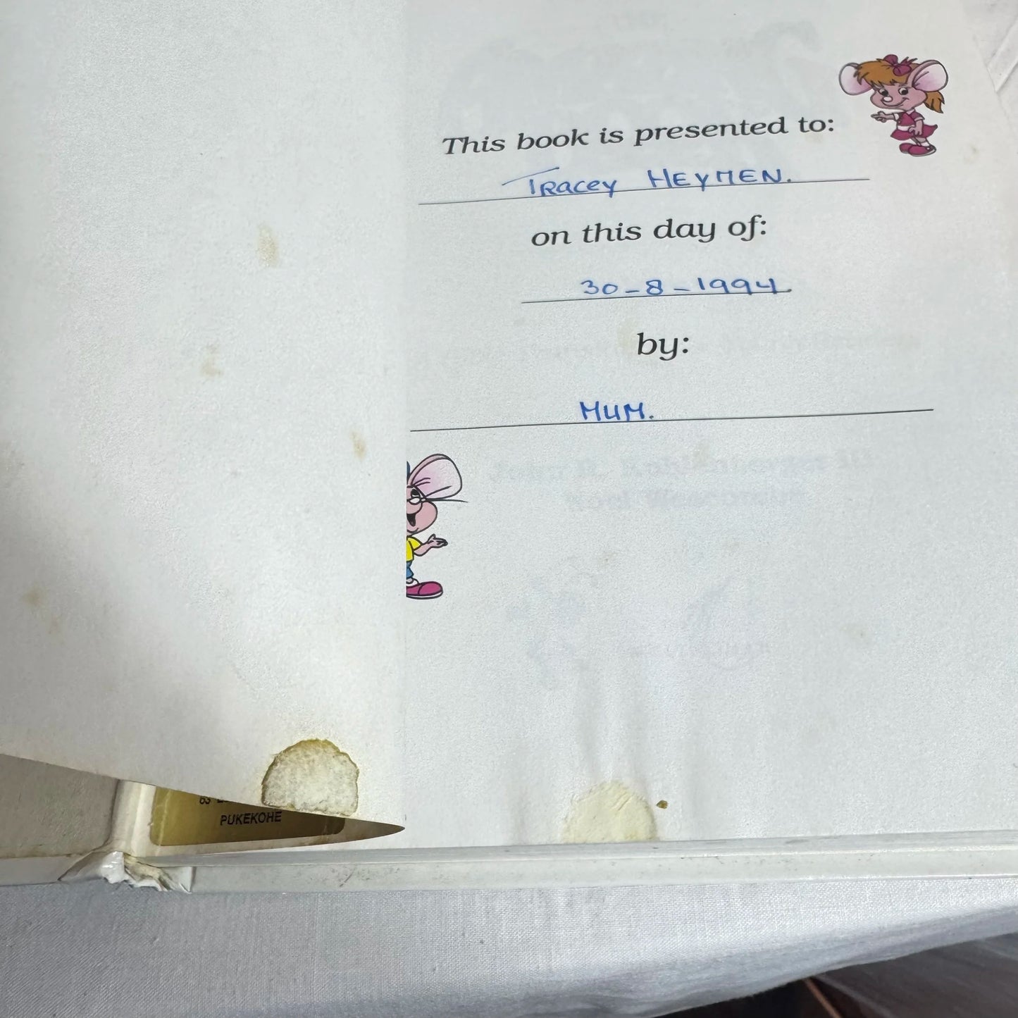 The Amazing Book : A Bible Translation for Young Readers