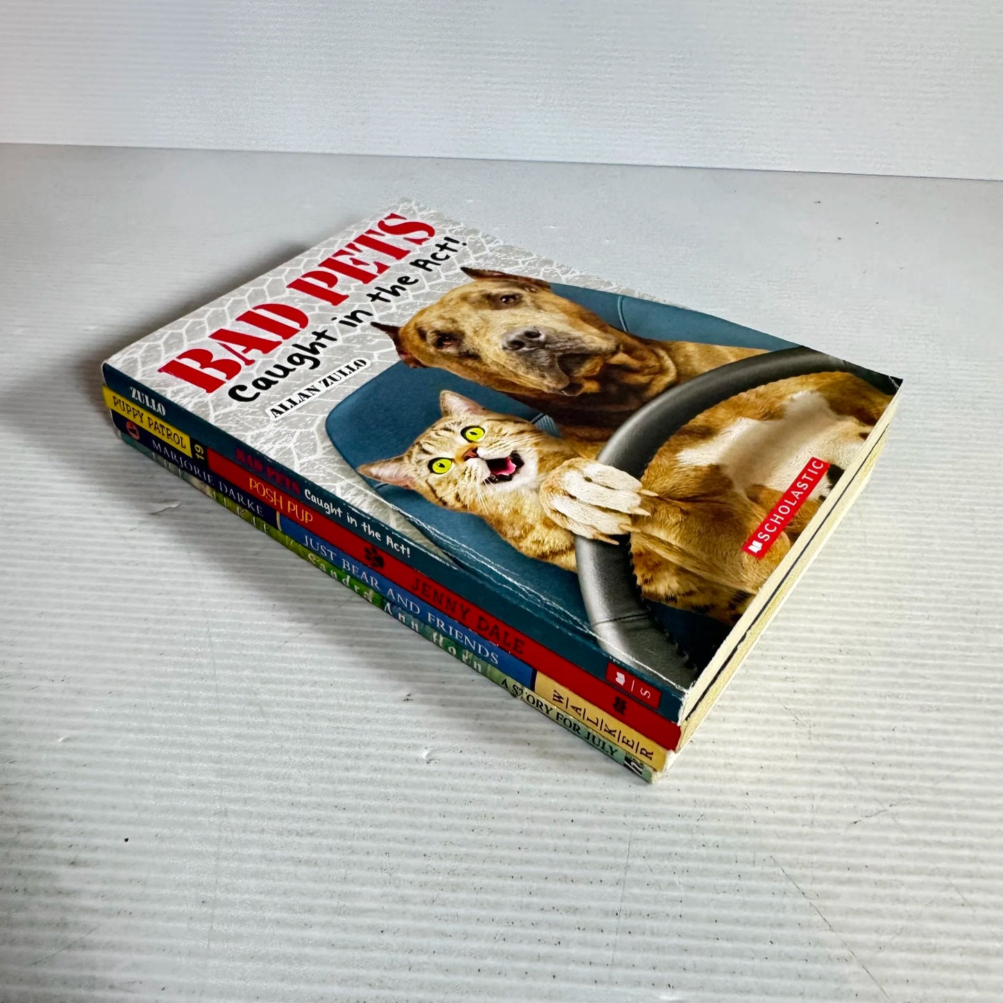 Children's Chapter Book Bundle x 4 Books Mixed Theme (207)