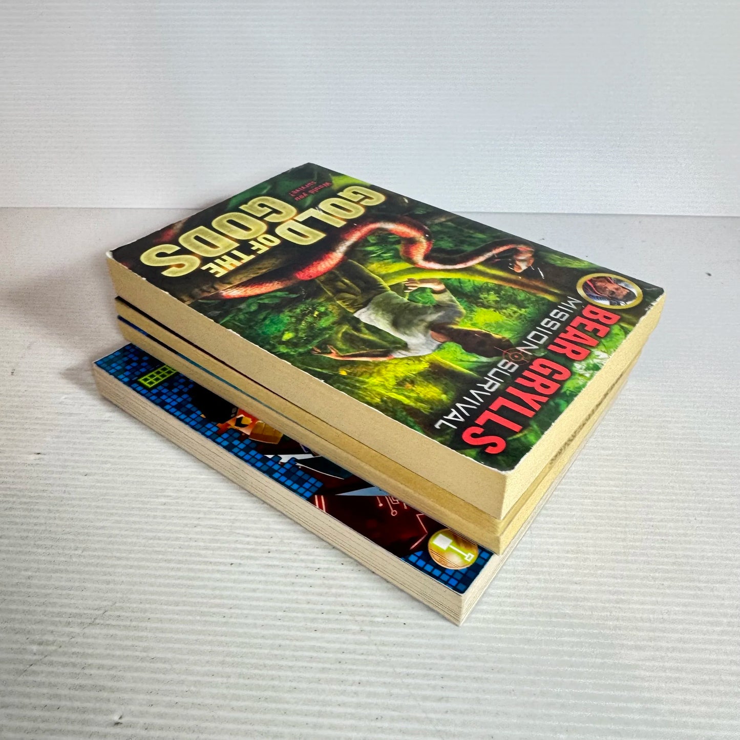 Adventure Children's Chapter Book Bundle x 4 Books (502)