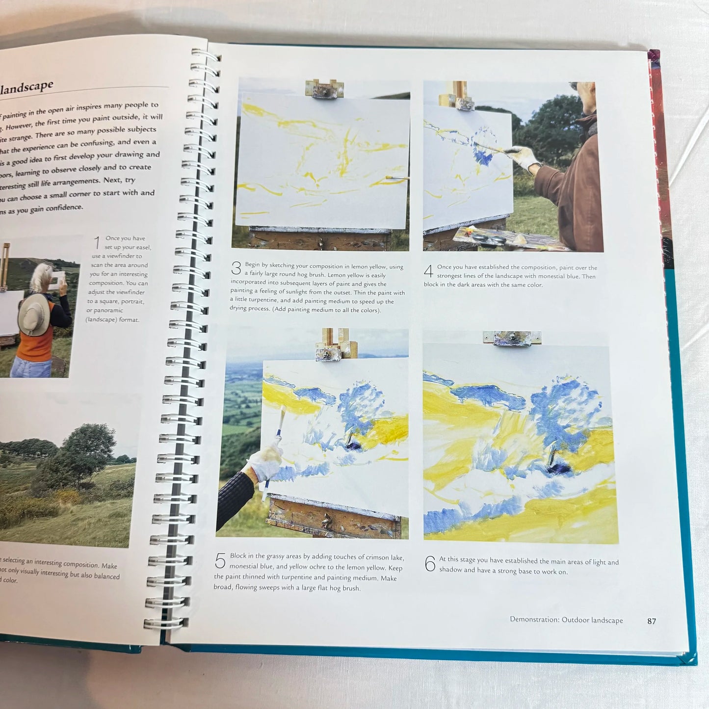 Artists' Questions Answered : Oil Painting - Rosalind Cuthbert