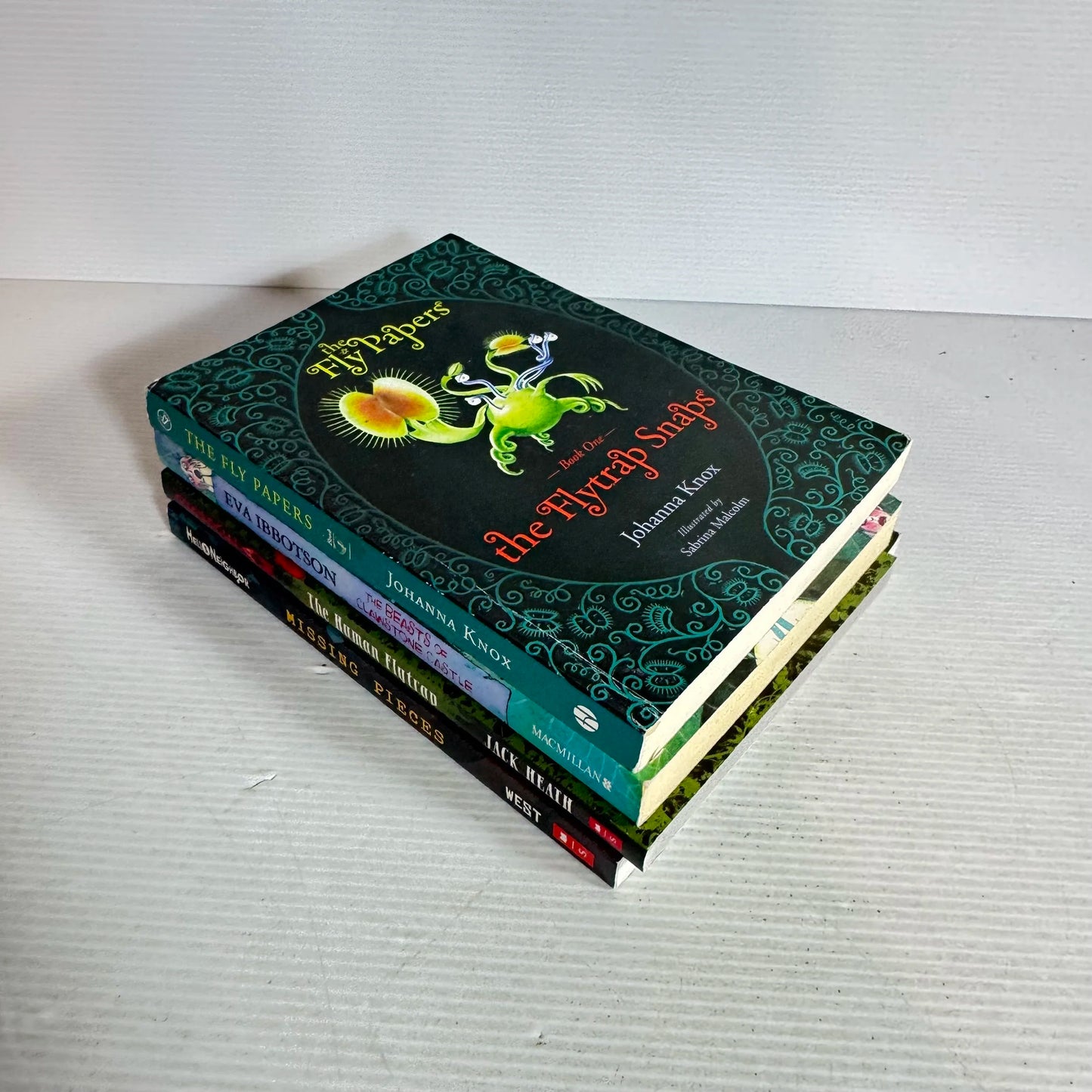 Scary Children's Chapter Book Bundle x 4 Books (501)