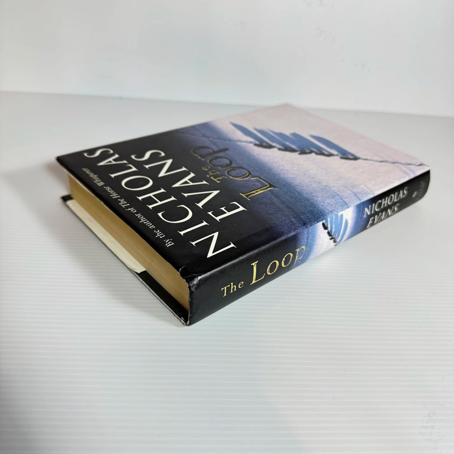 The Loop - Nicholas Evans