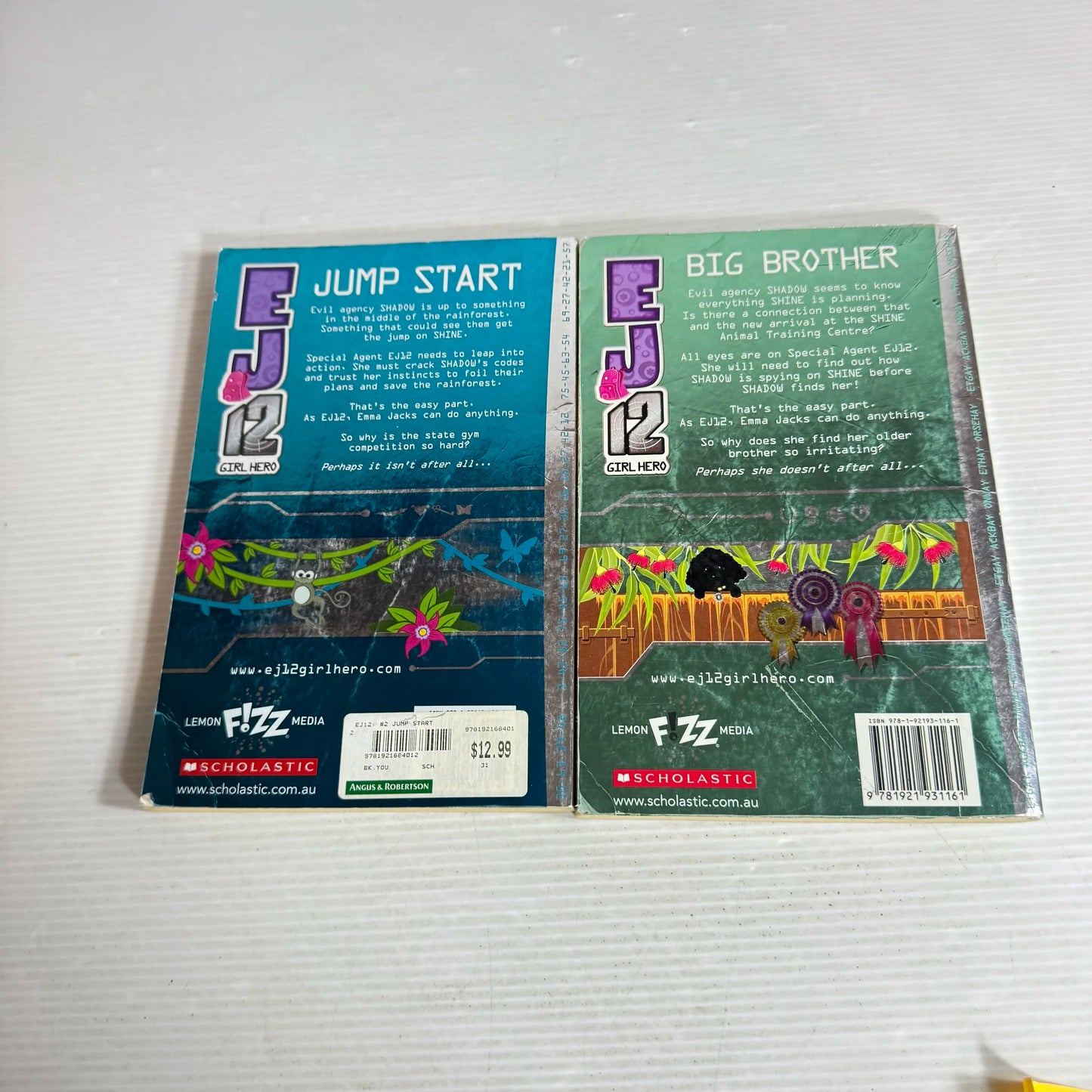 EJ 12 Girl Hero Book Bundle x2 Books :Jump Start & Big Brother (513)