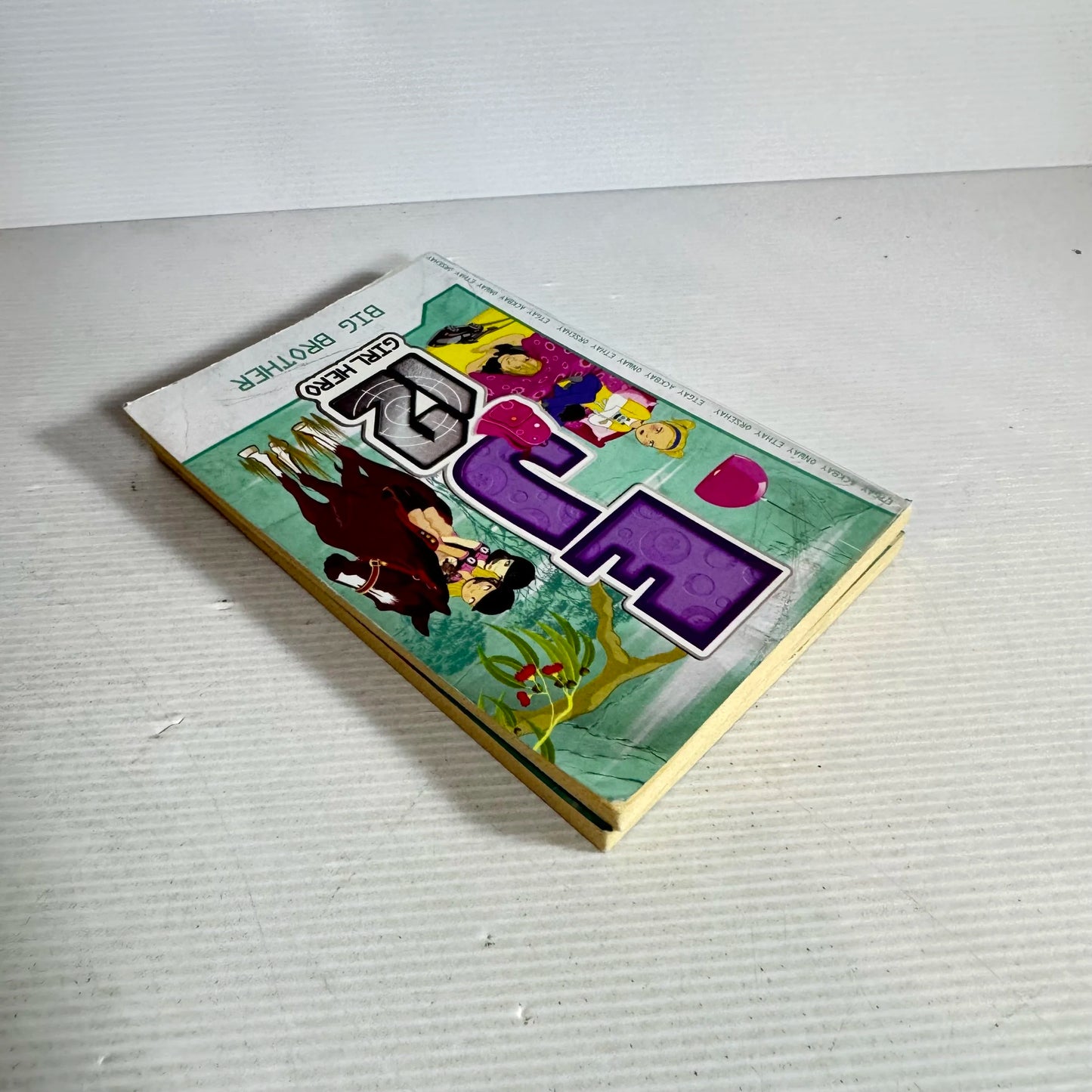 EJ 12 Girl Hero Book Bundle x2 Books :Jump Start & Big Brother (513)