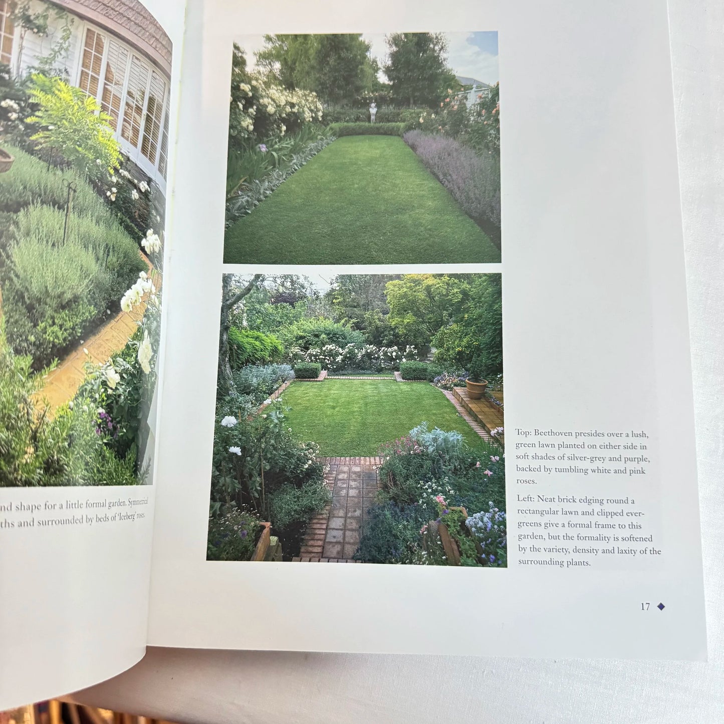 Design Ideas for New Zealand City Gardens - Gil Hanly