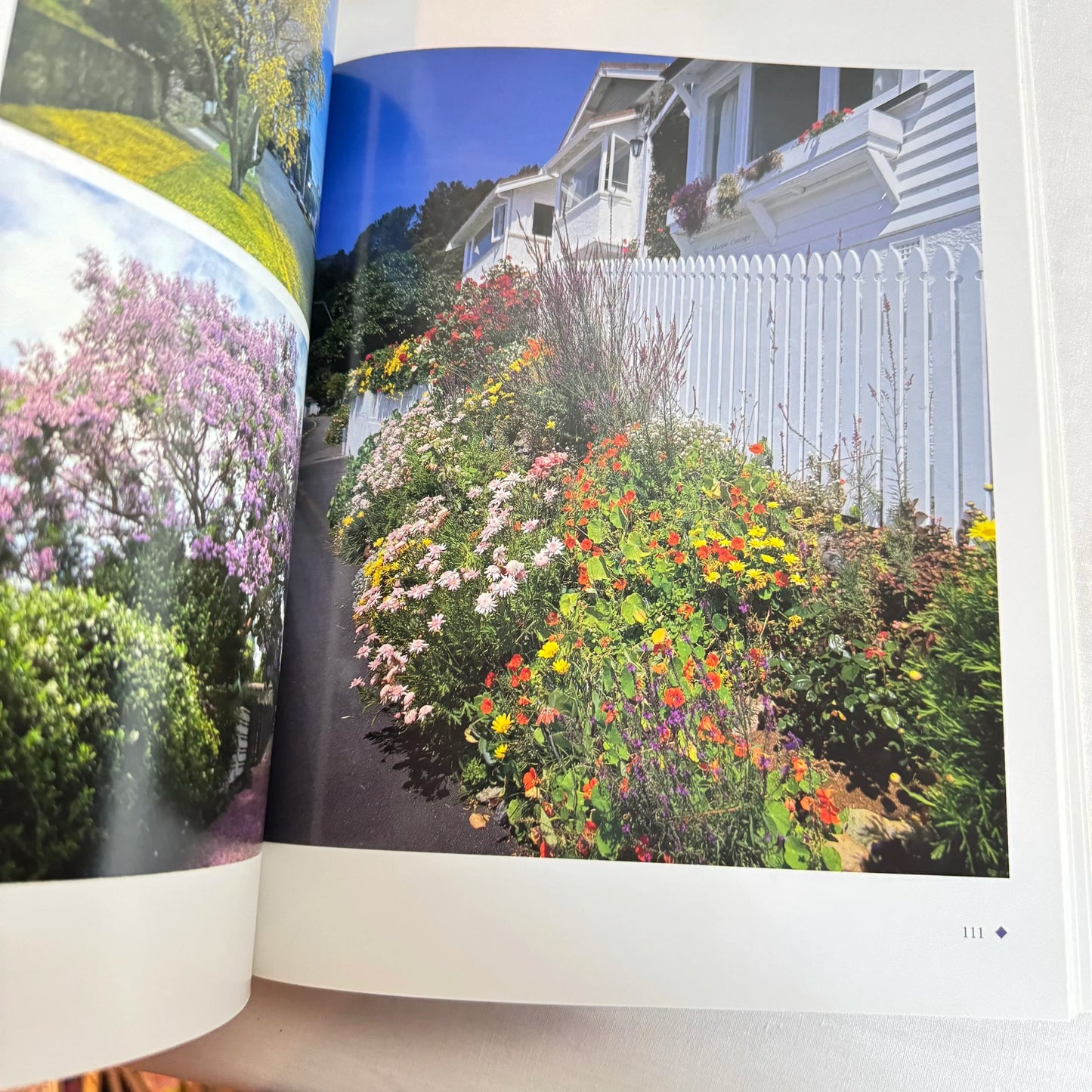 Design Ideas for New Zealand City Gardens - Gil Hanly