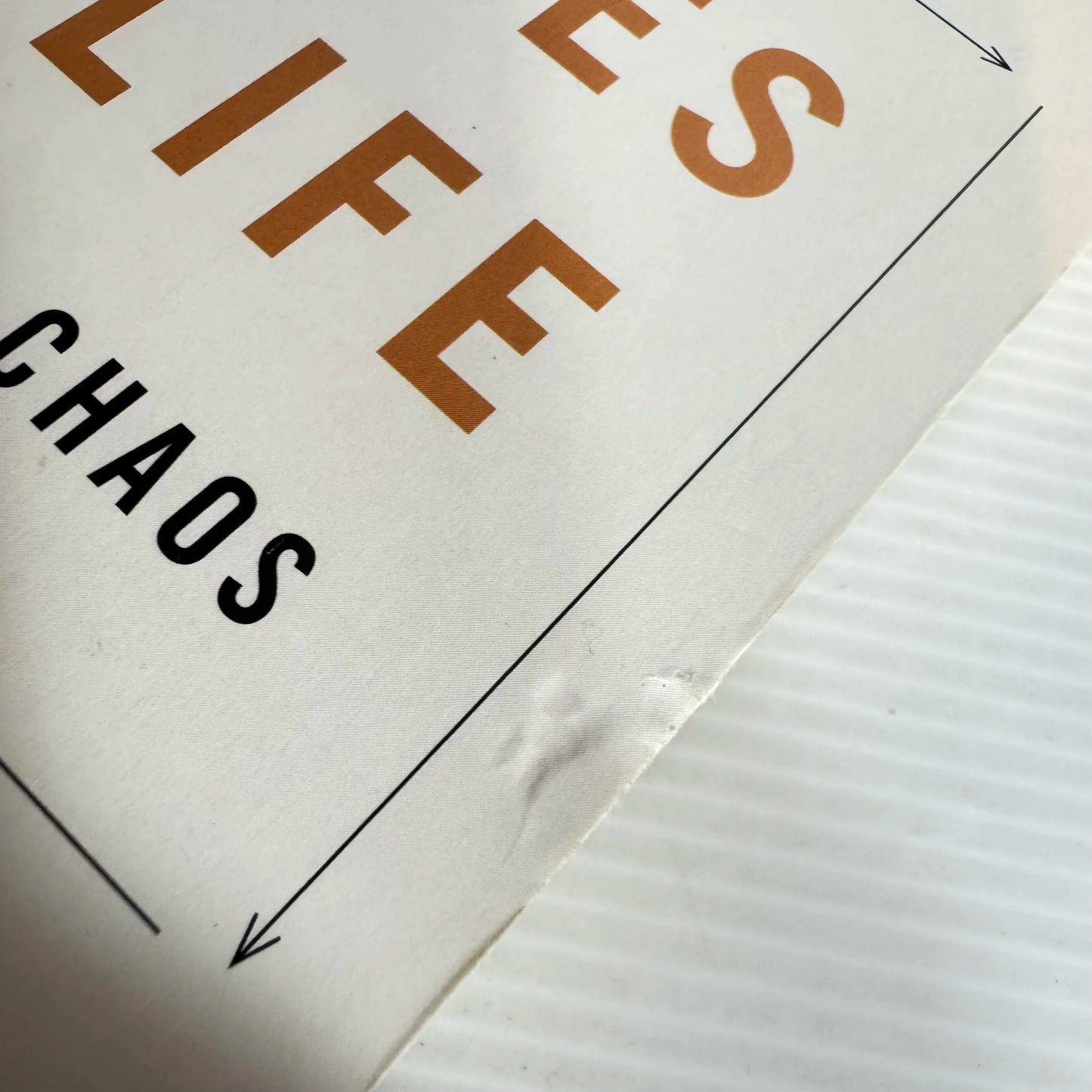 12 Rules For Life: An Antidote To Chaos - Jordan B. Peterson