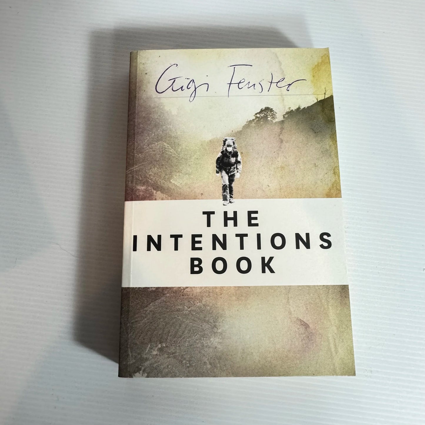 The Intentions Book - Gigi Fenster
